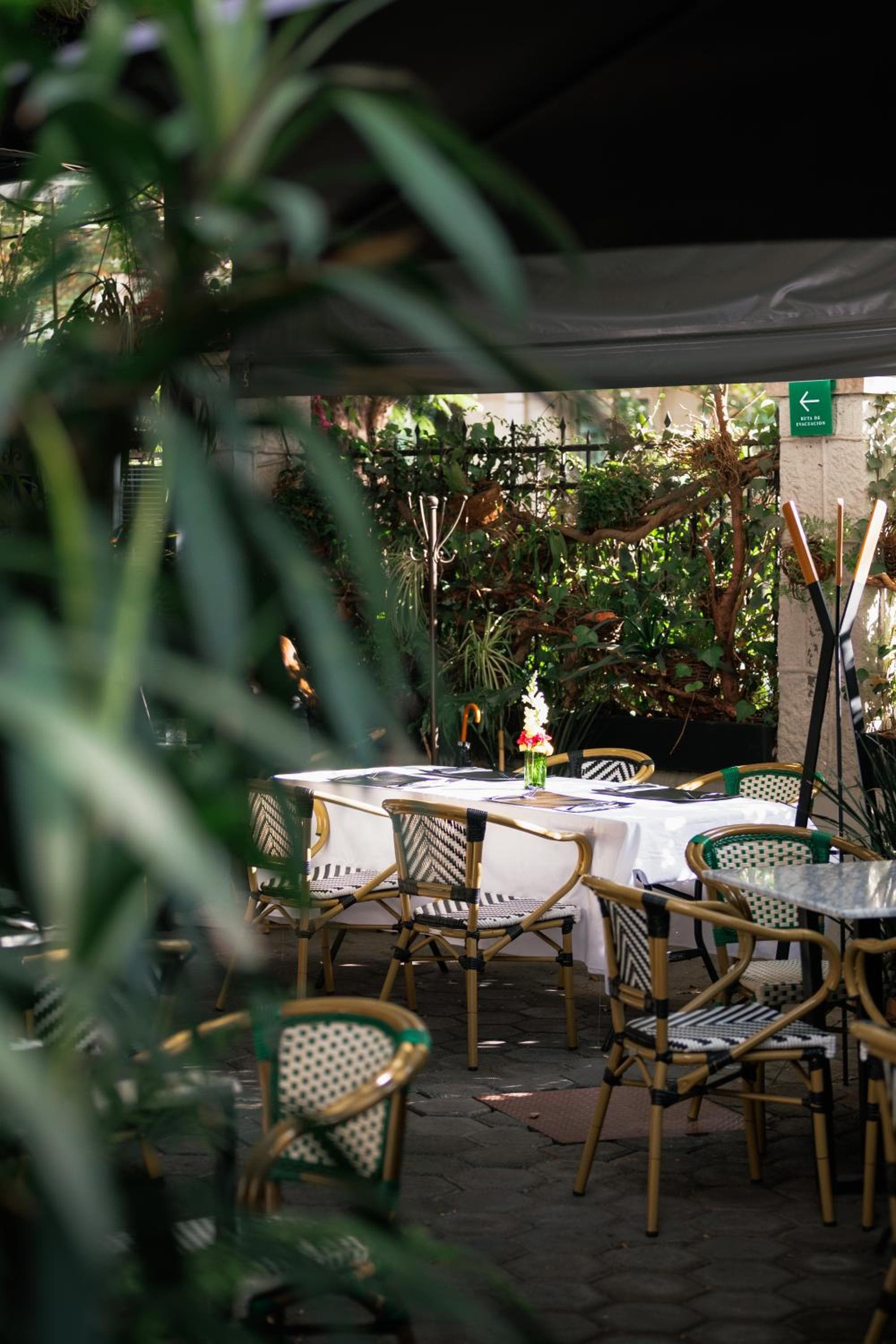Orchid House Mexico City — 4