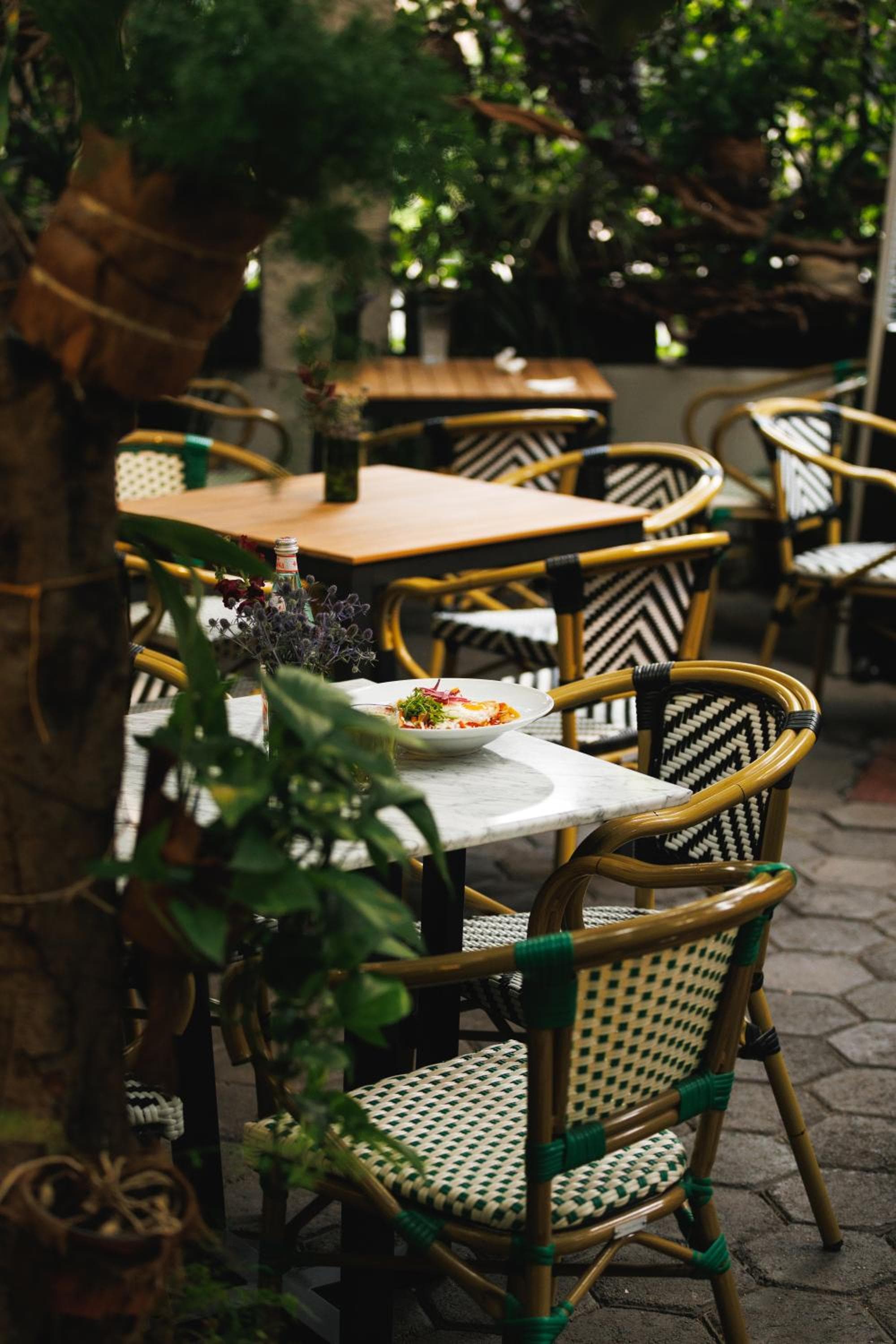 Orchid House Mexico City — 20