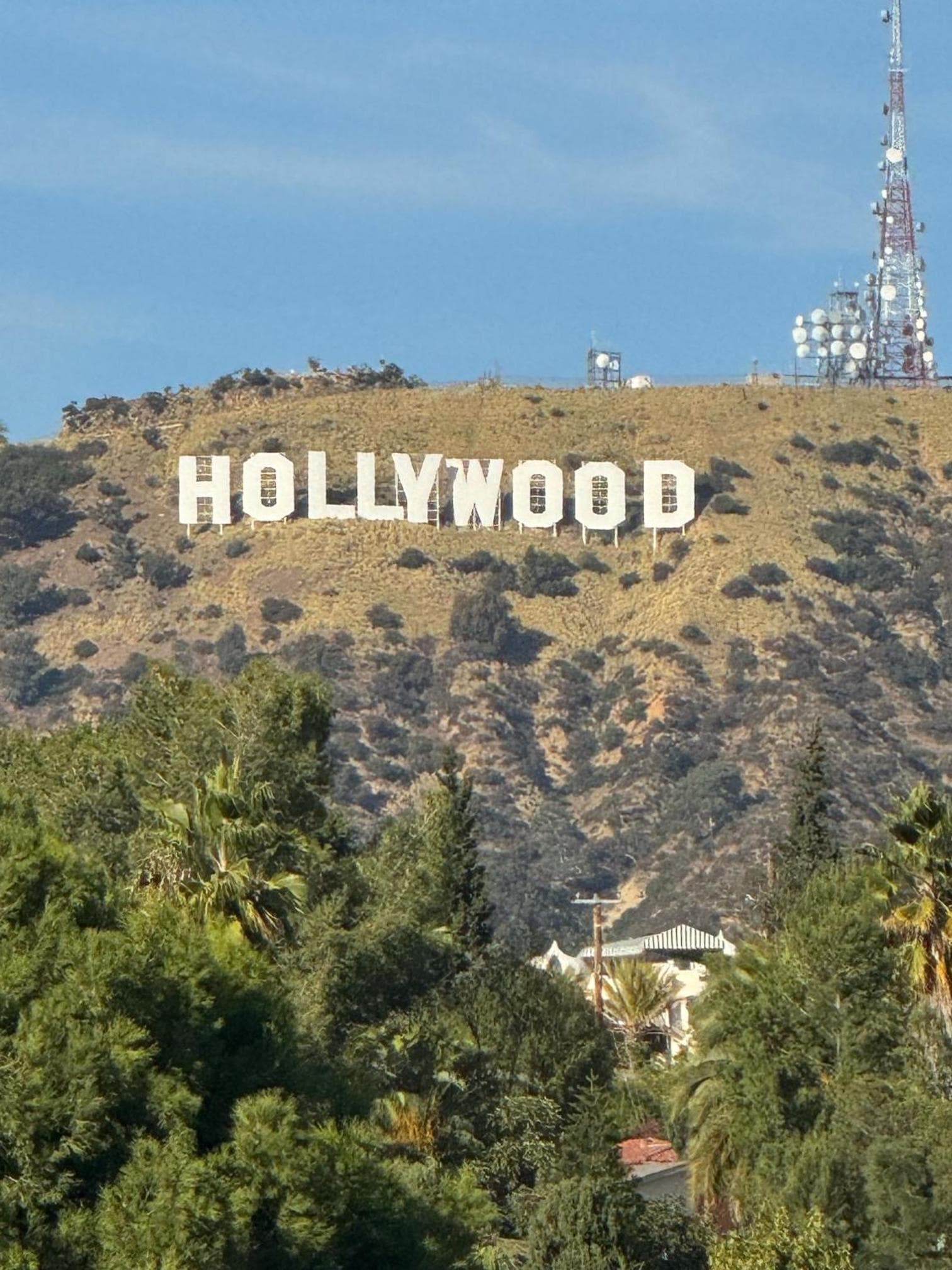 The Hollywood Franklin Hotel near Universal Studios — 26
