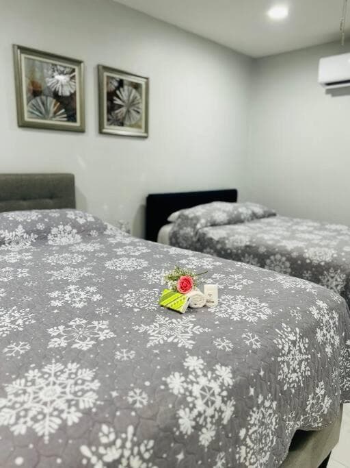 Grey Novo Studio + free-parking&wifi — 11