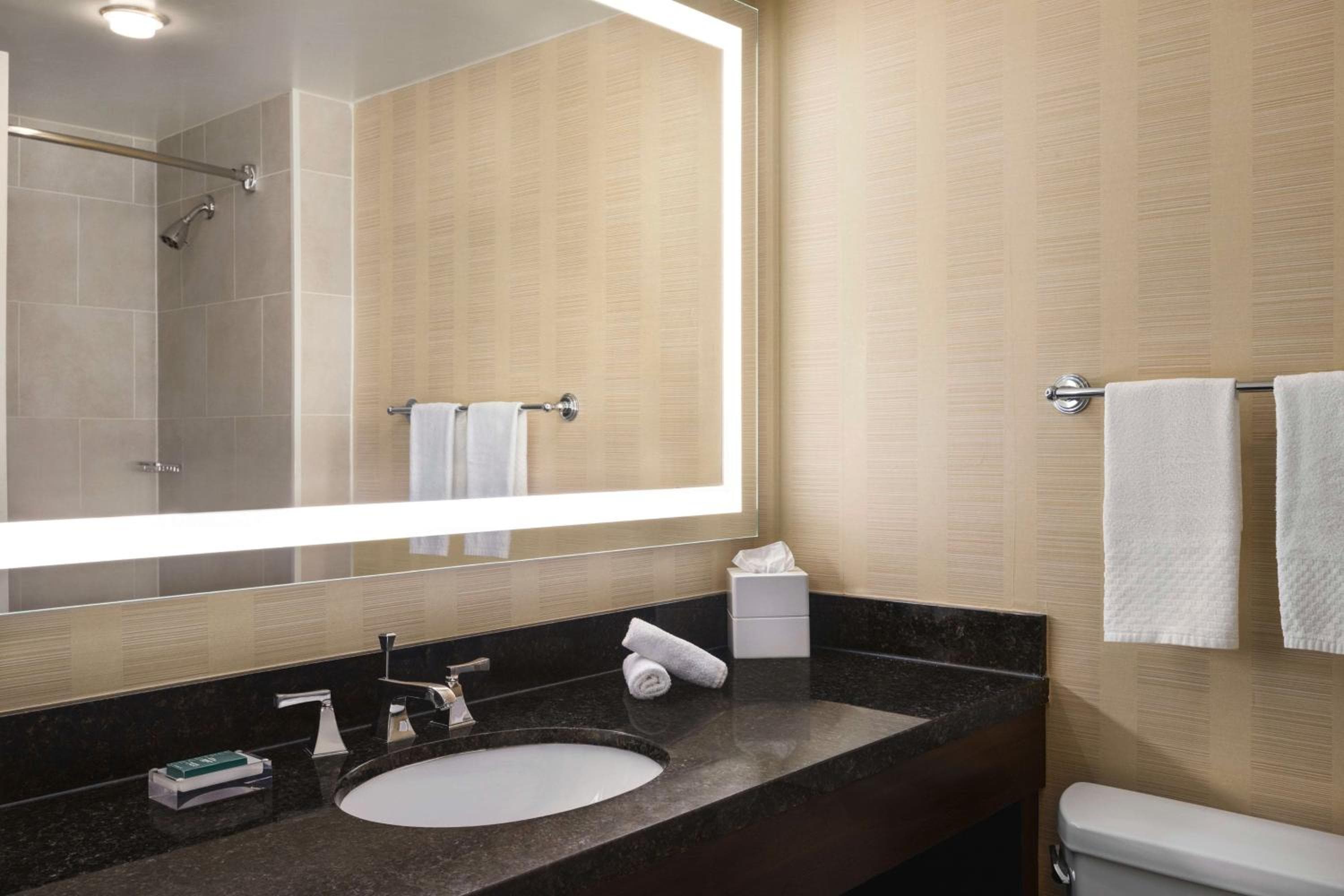 Hilton Tampa Downtown — 9