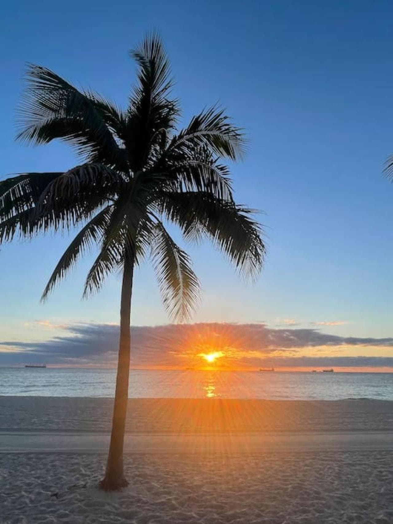 Ocean Breeze Free Parking Apt 5 — 13