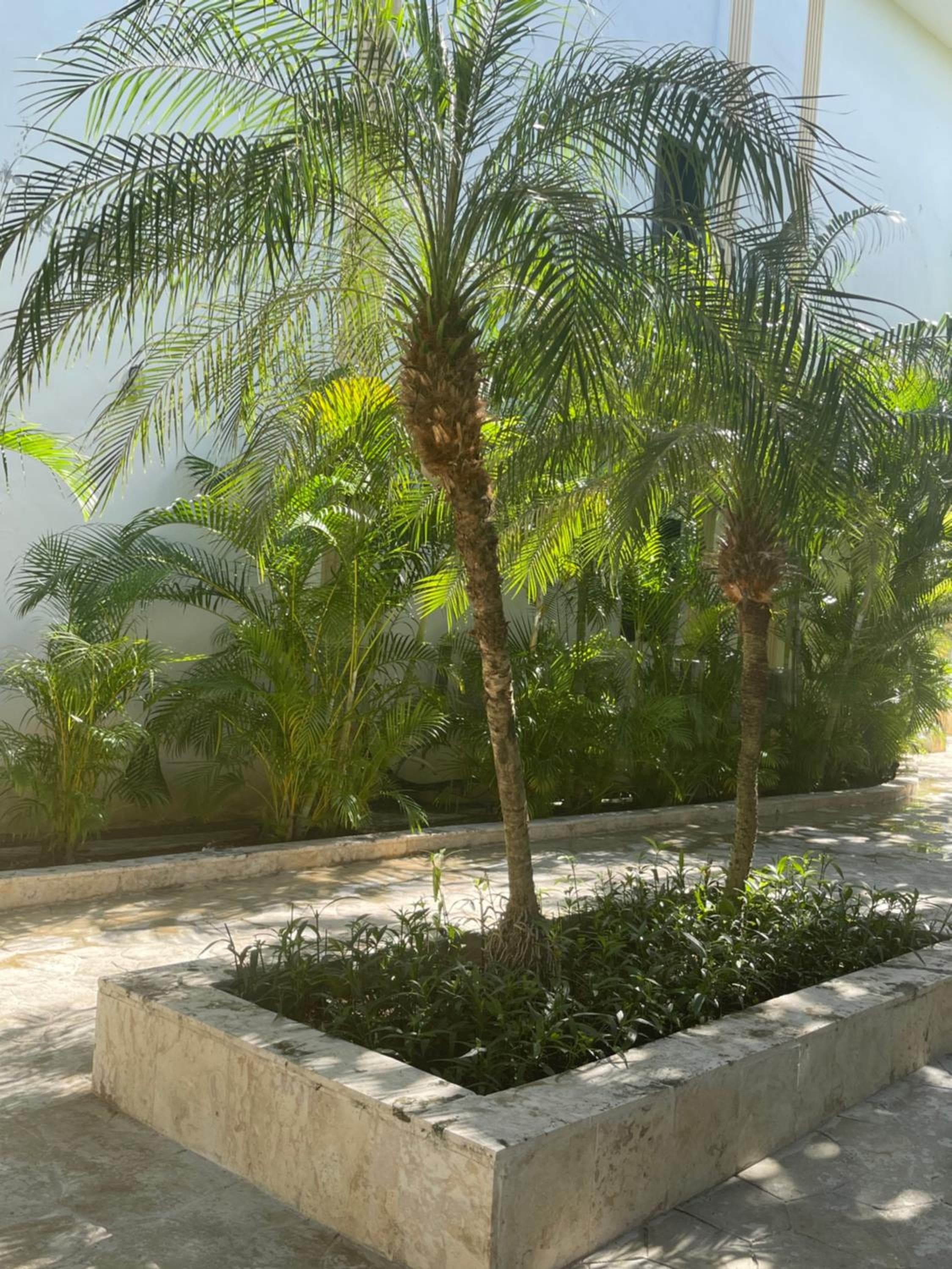 Hotel Plaza Brisas — 25