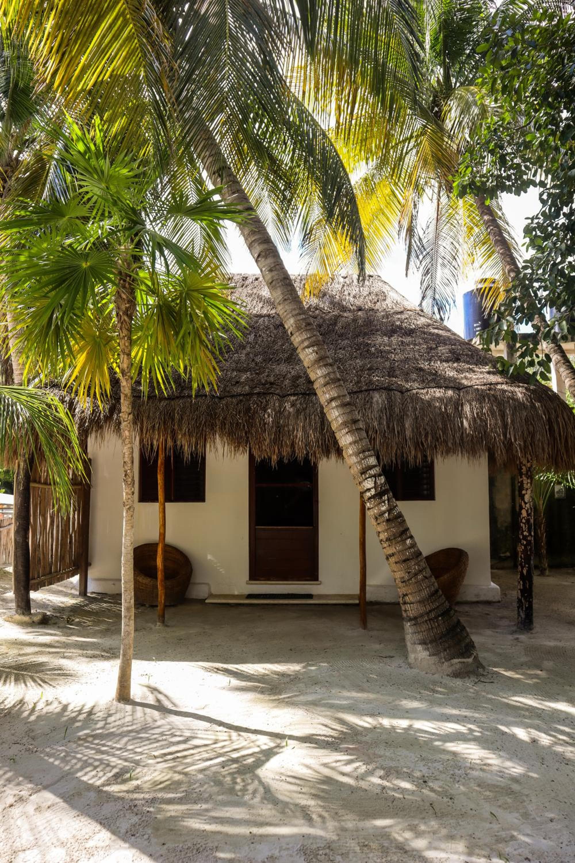 Alito Hotel Tulum Formerly La Diosa Tulum — 16