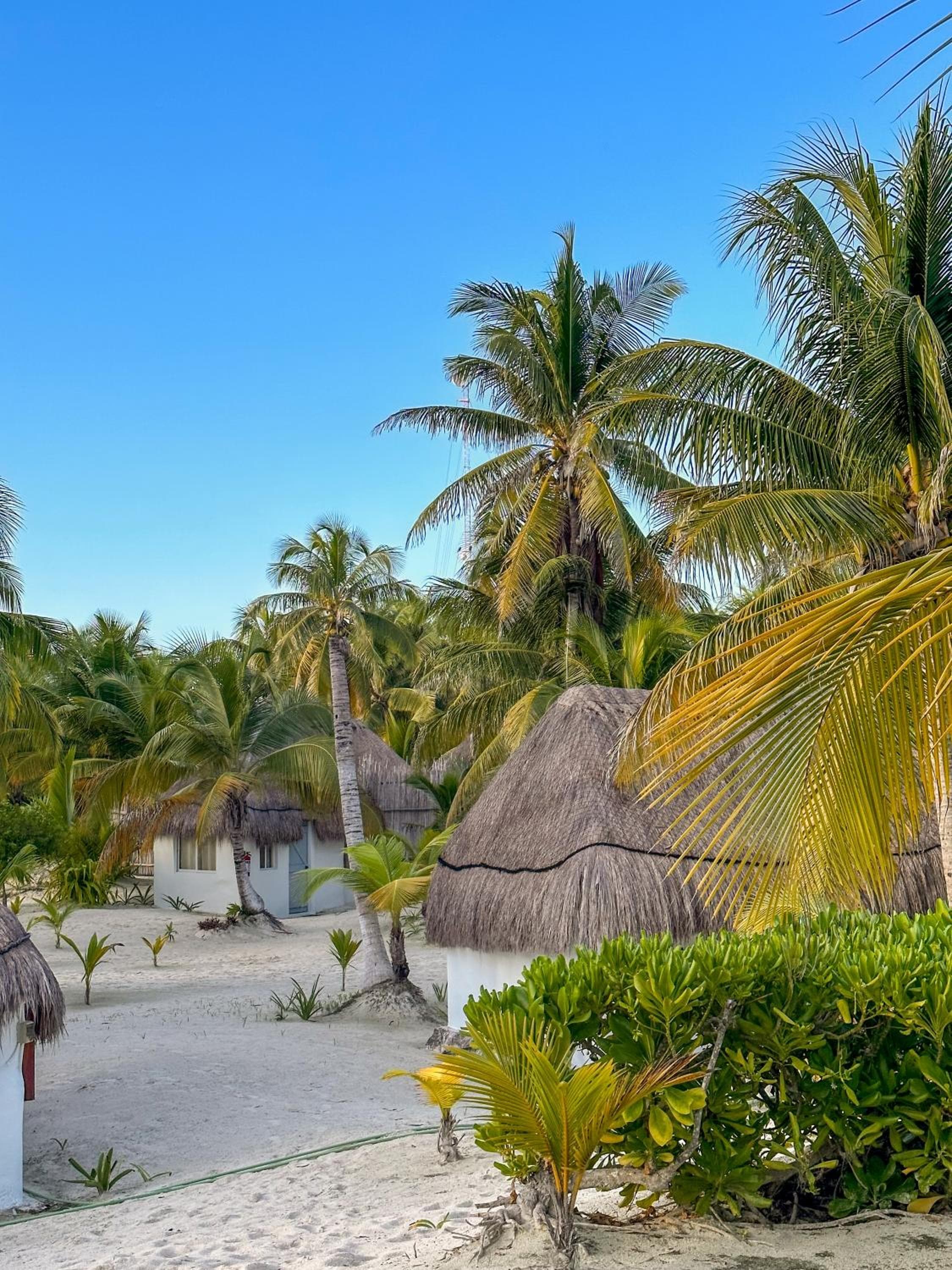 Alito Tulum Hotel — 14