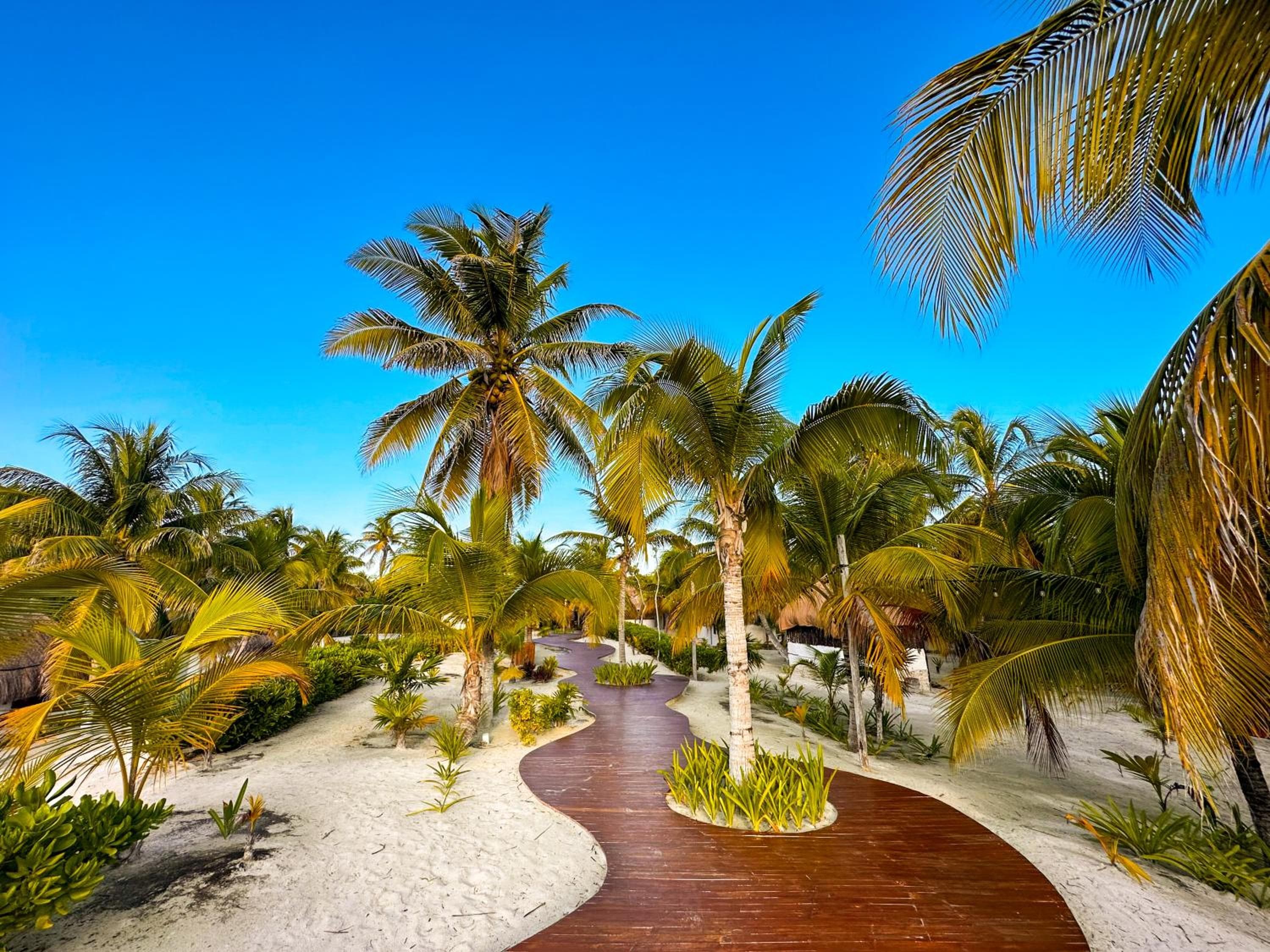 Alito Tulum Hotel — 5