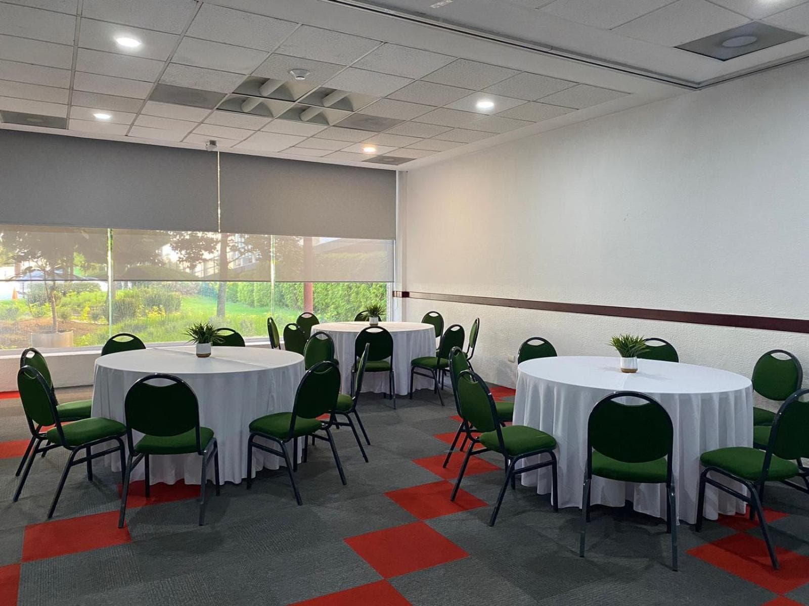 Ibis Mexico Perinorte — 14