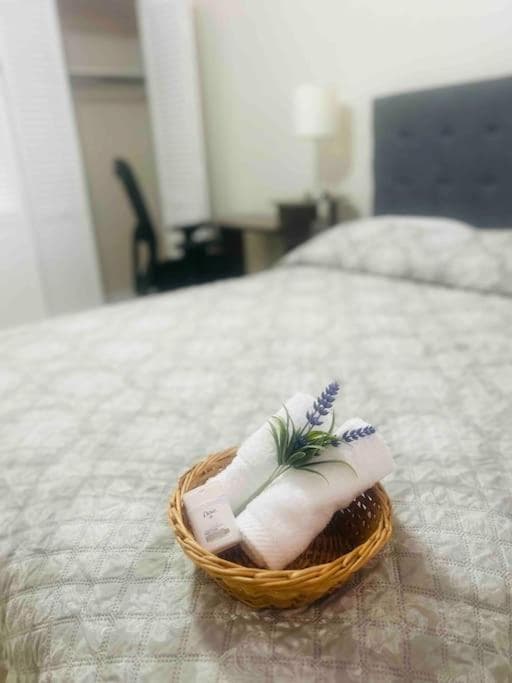 Vintage Family Scape + heated pool&discount — 15