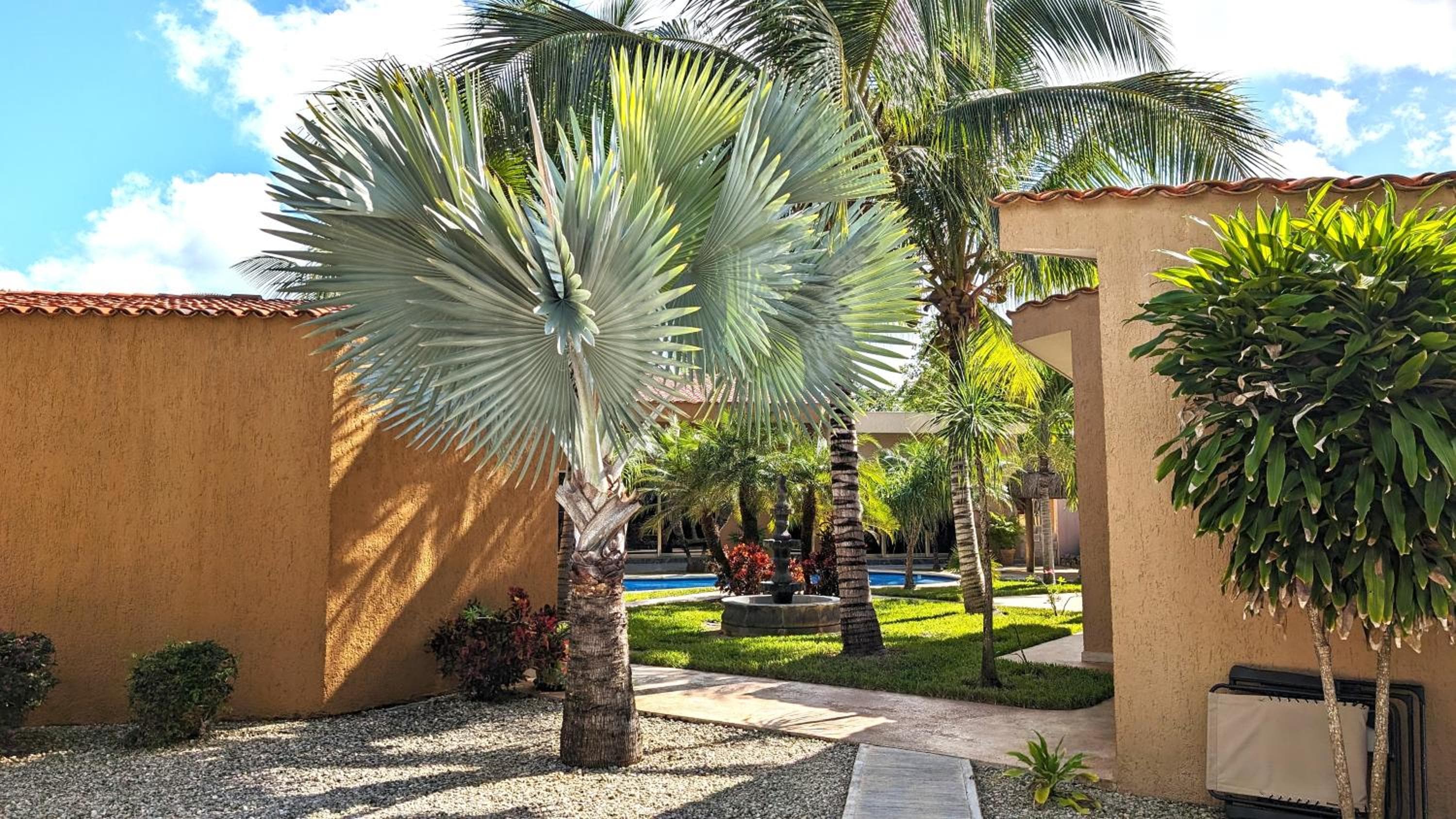 Myoli Wellness & Happiness BnB — 3