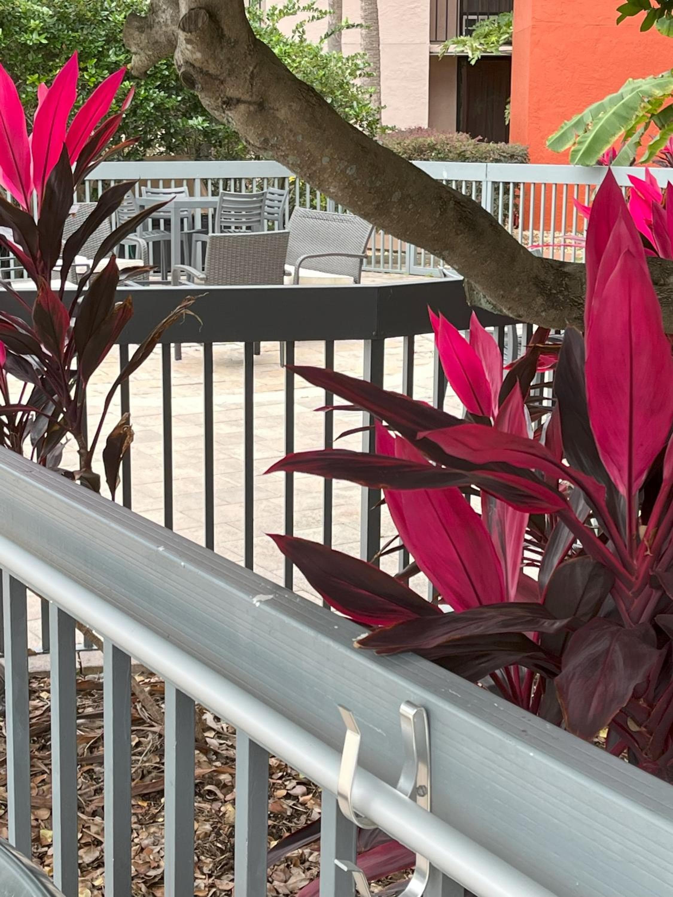 Grand Hotel Orlando all'Universal Blvd — 19