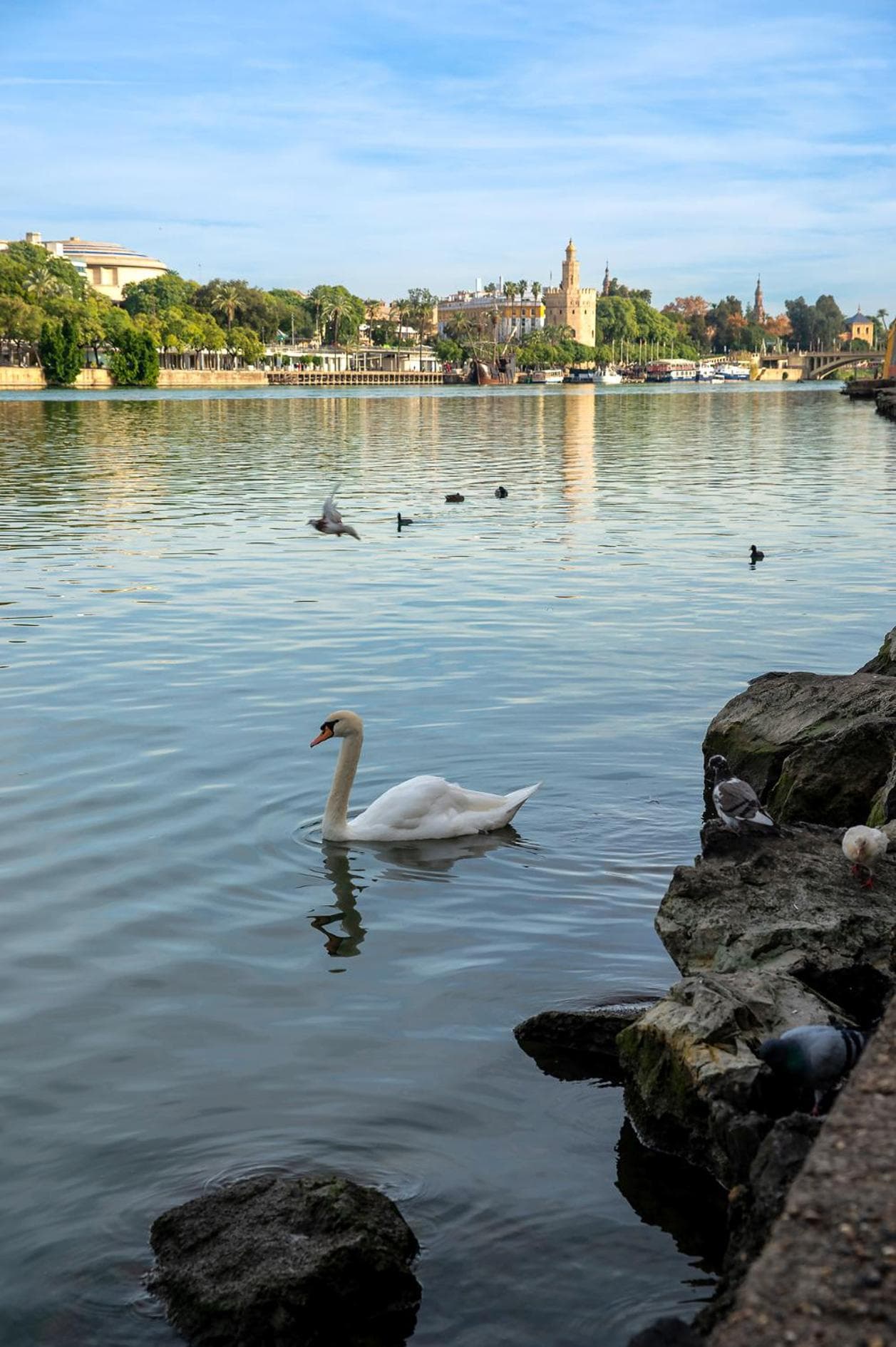 Pierre & Vacances Sevilla — 29