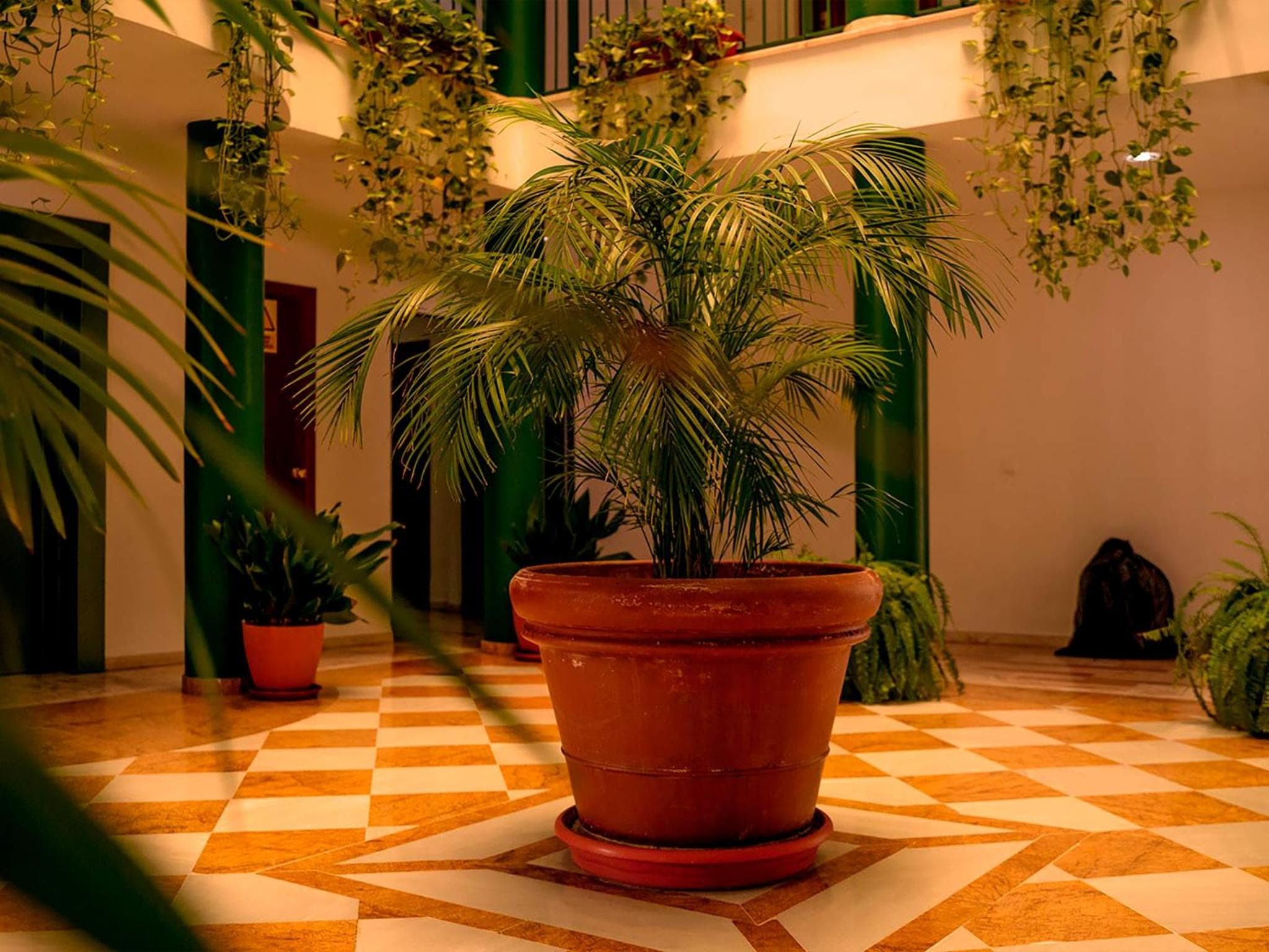 Apartamentos Vértice Bib Rambla — 28