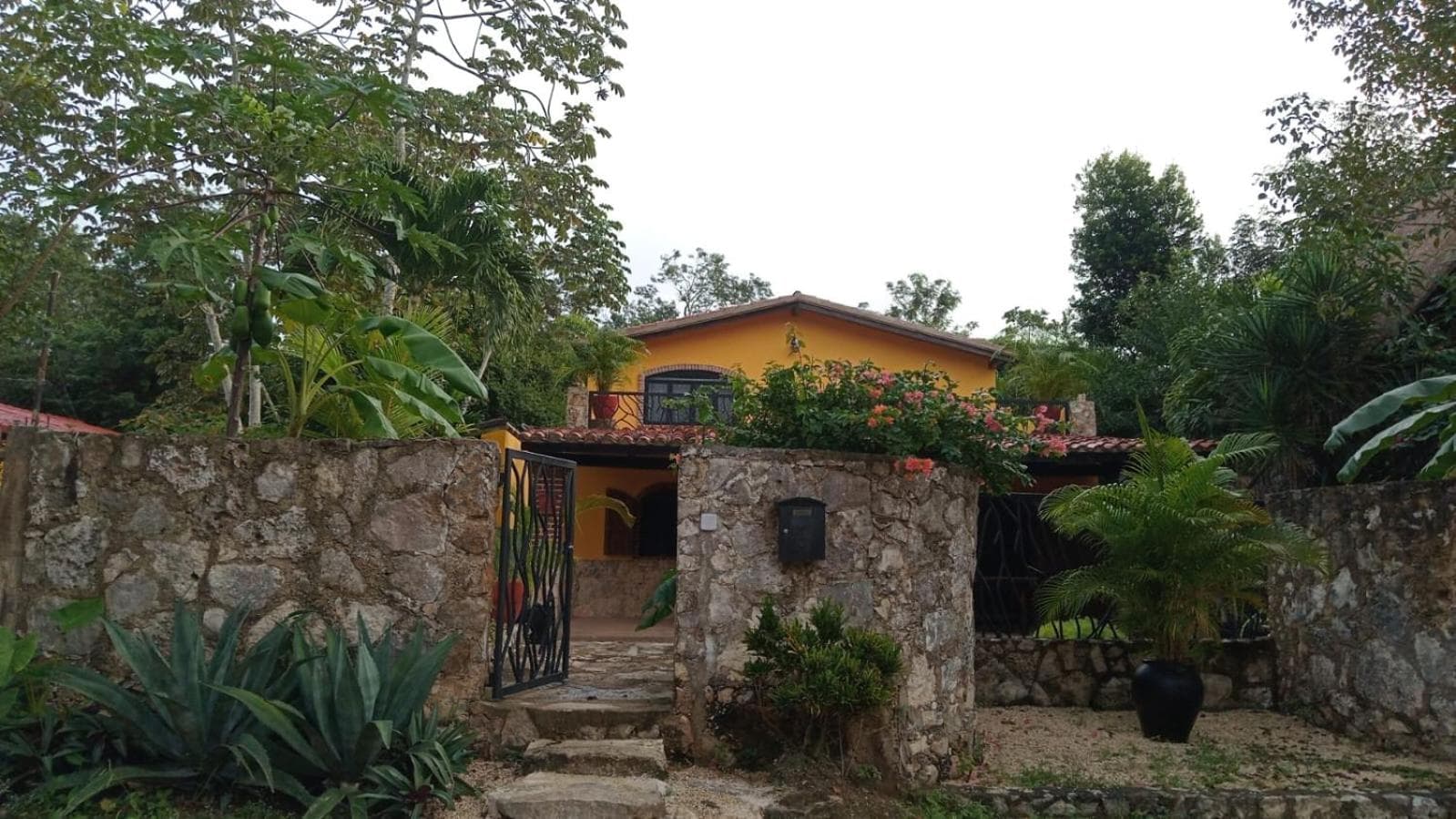 Casa Mango — 2