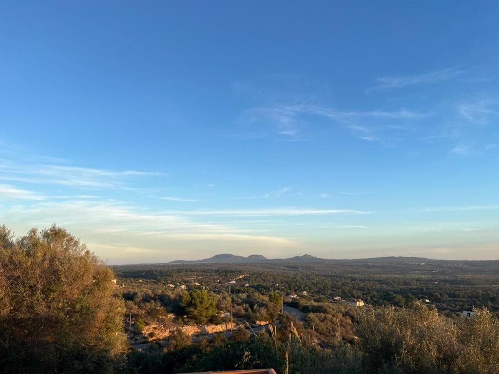 Finca rural s'Estepa — 12