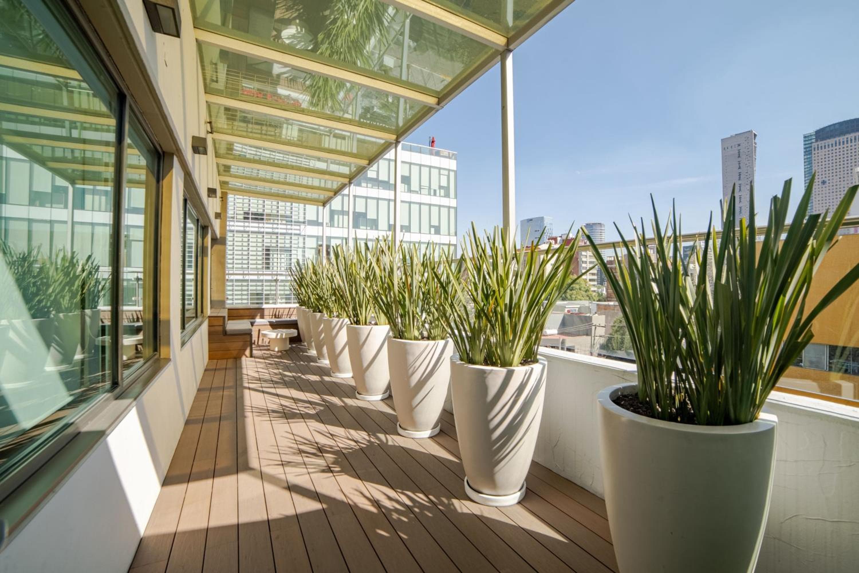 City Express Suites by Marriott Anzures — 19