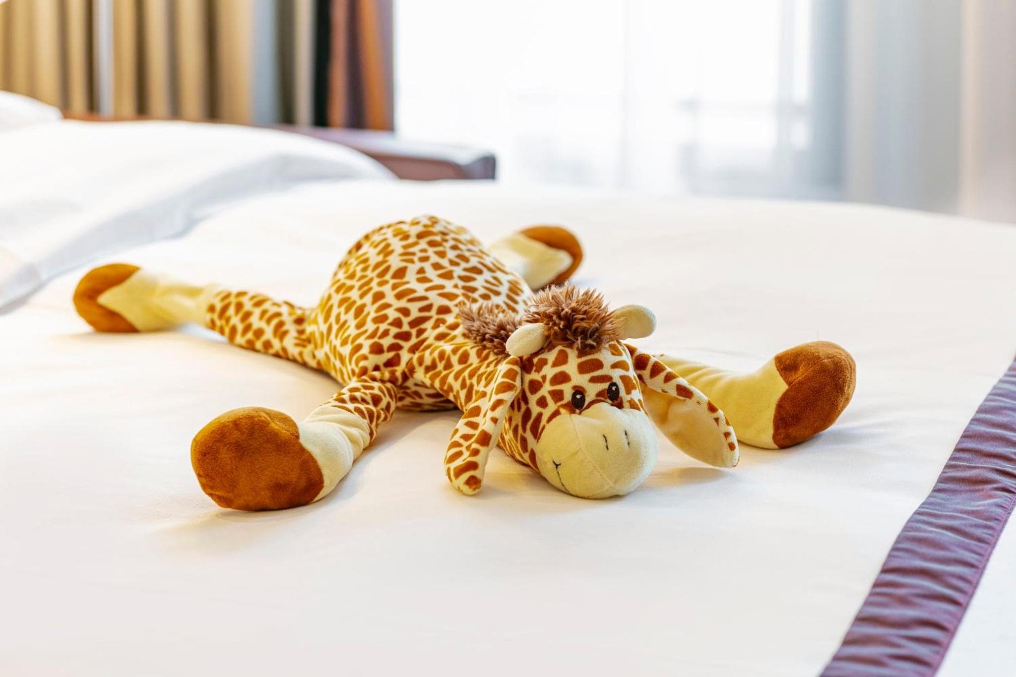 Crowne Plaza Amsterdam - Sud, un hotel IHG — 5