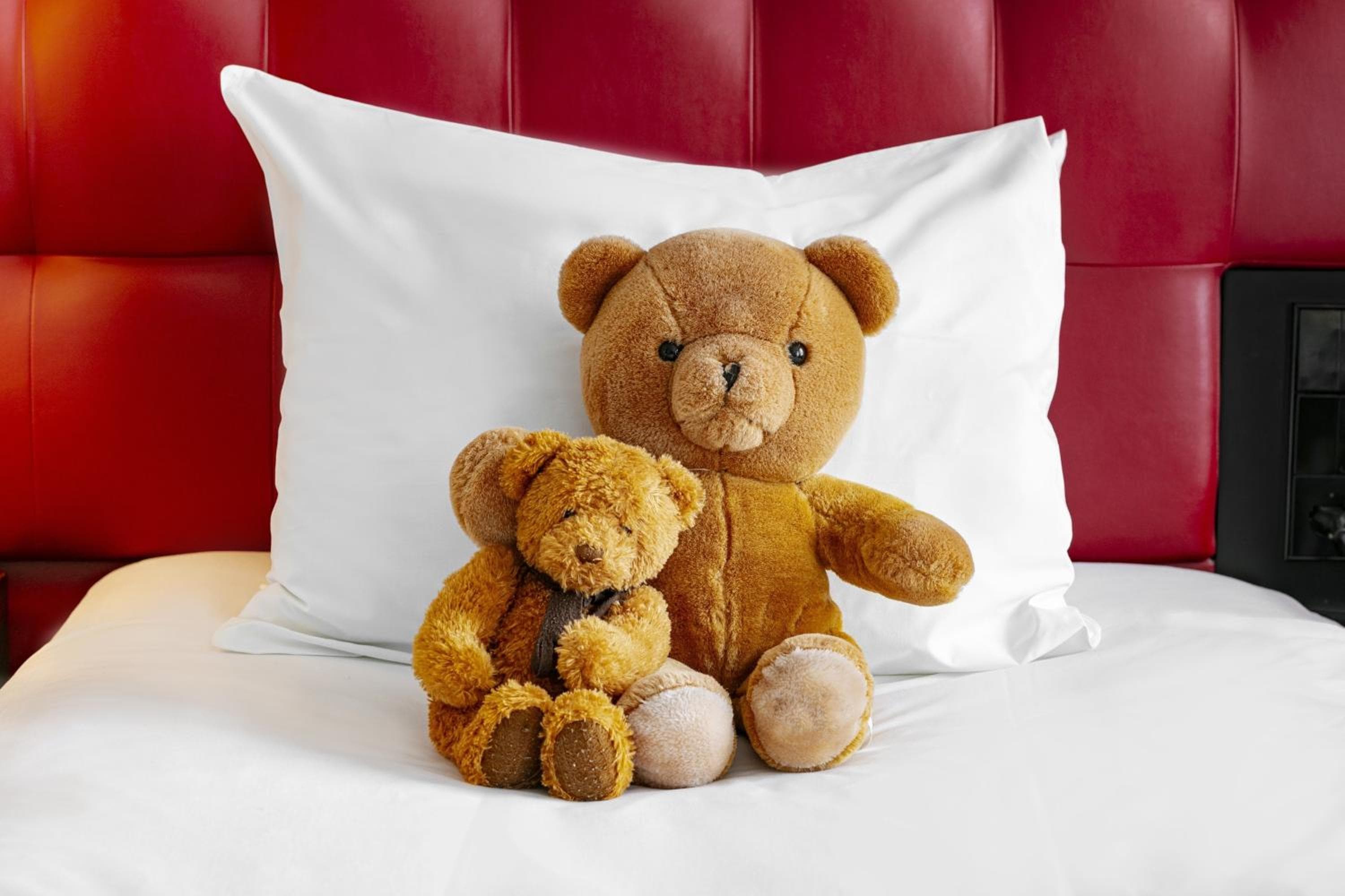 Crowne Plaza Amsterdam - Sud, un hotel IHG — 21