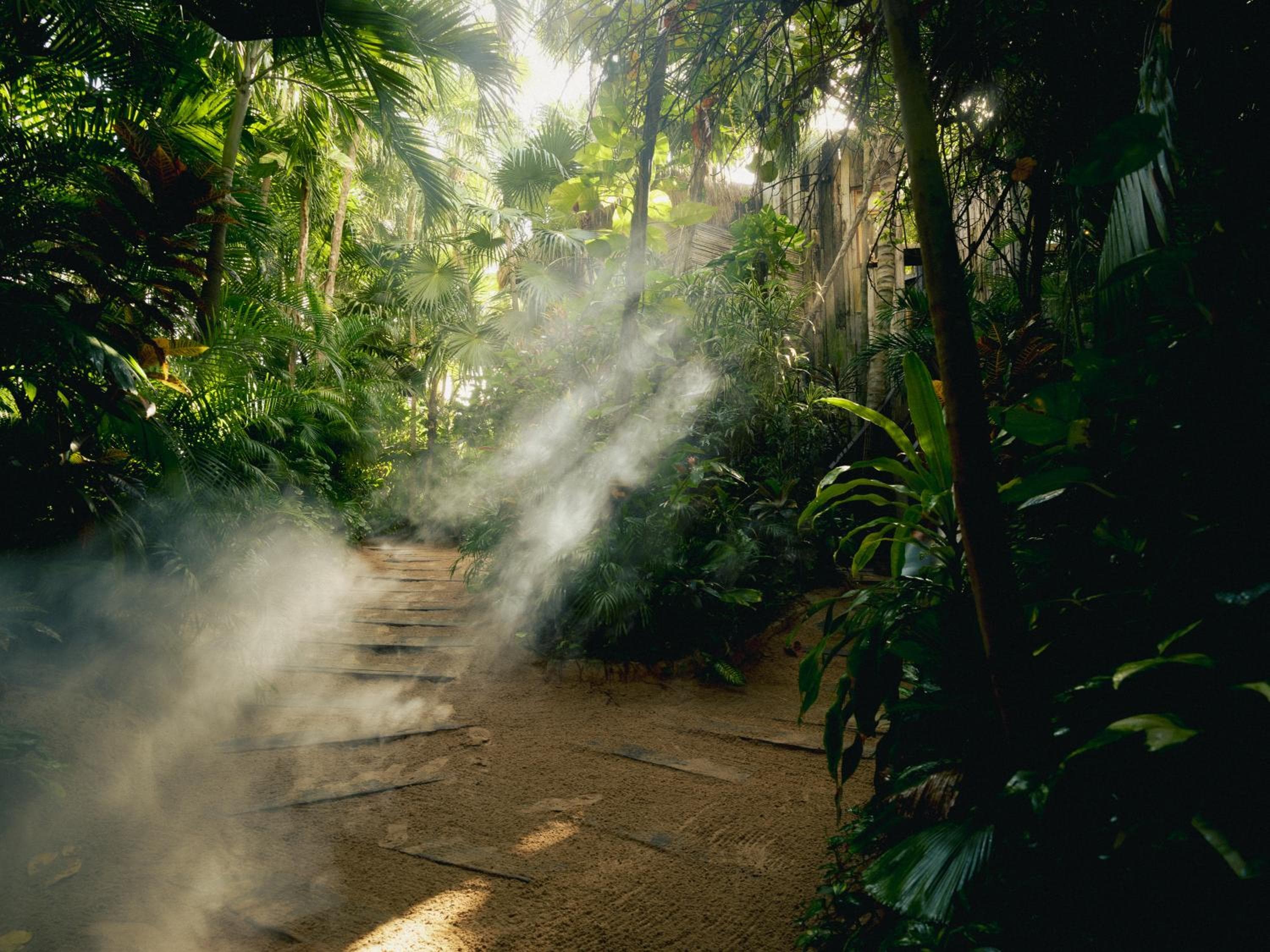 Sii Tulum Beach & Spa Resort — 14