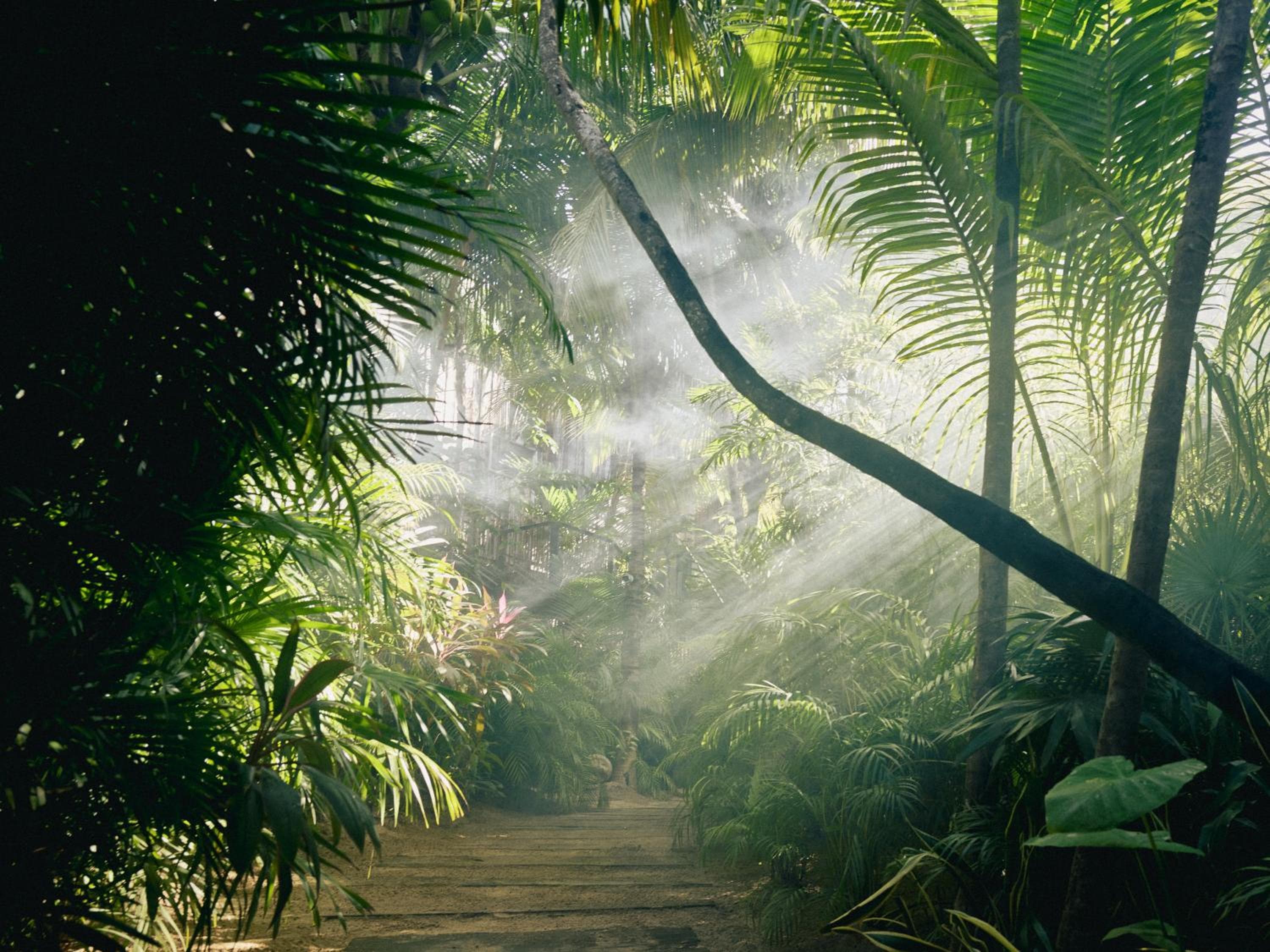 Sii Tulum Beach & Spa Resort — 15