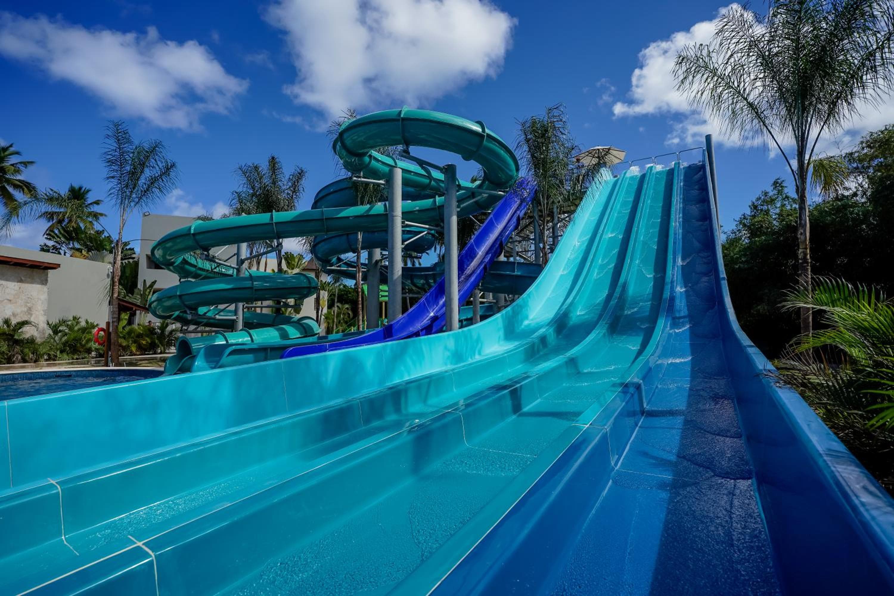 Sueños Royal Beach Punta Cana — 11