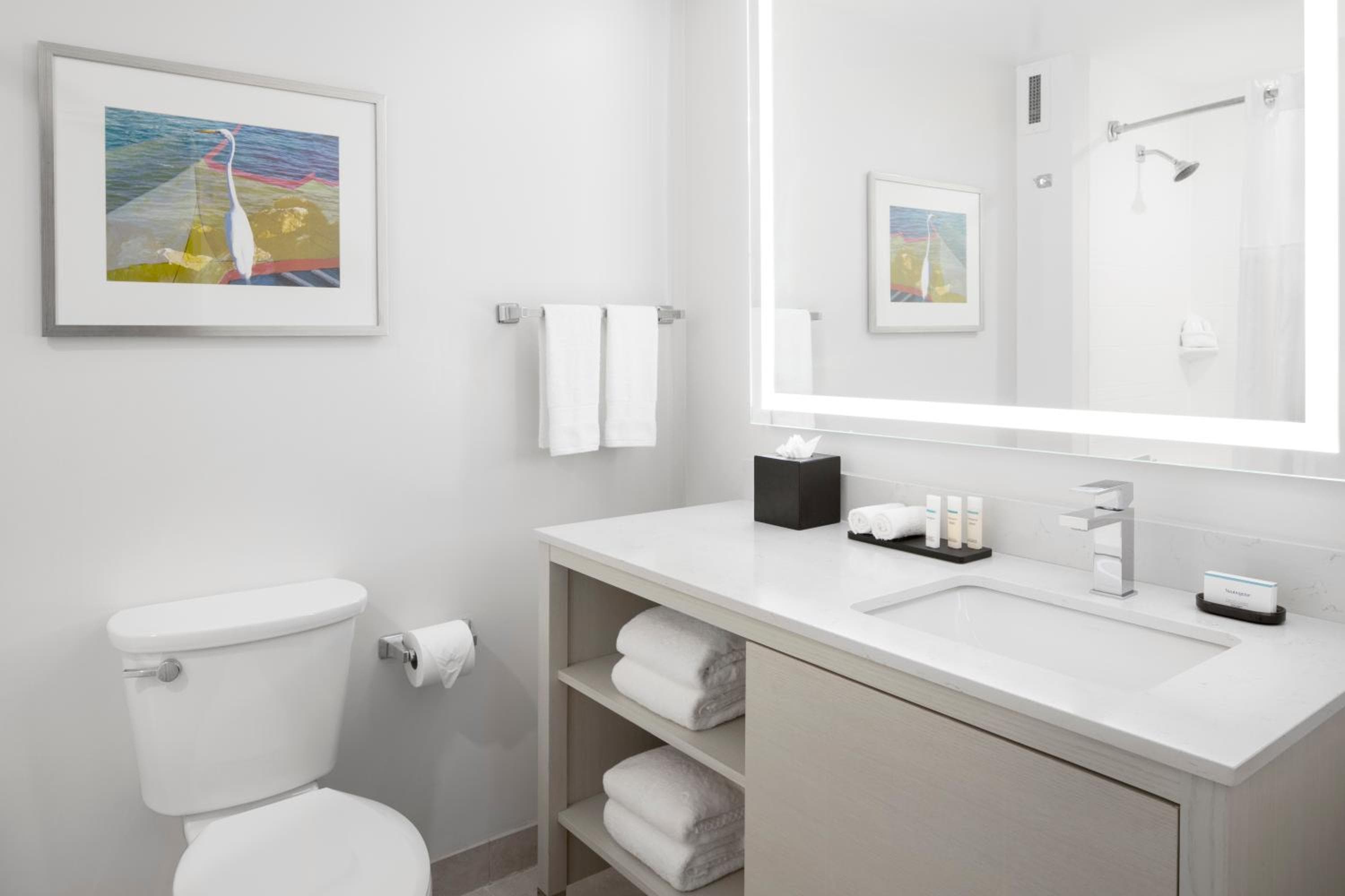 Embassy Suites by Hilton Tampa Airport Westshore — 17