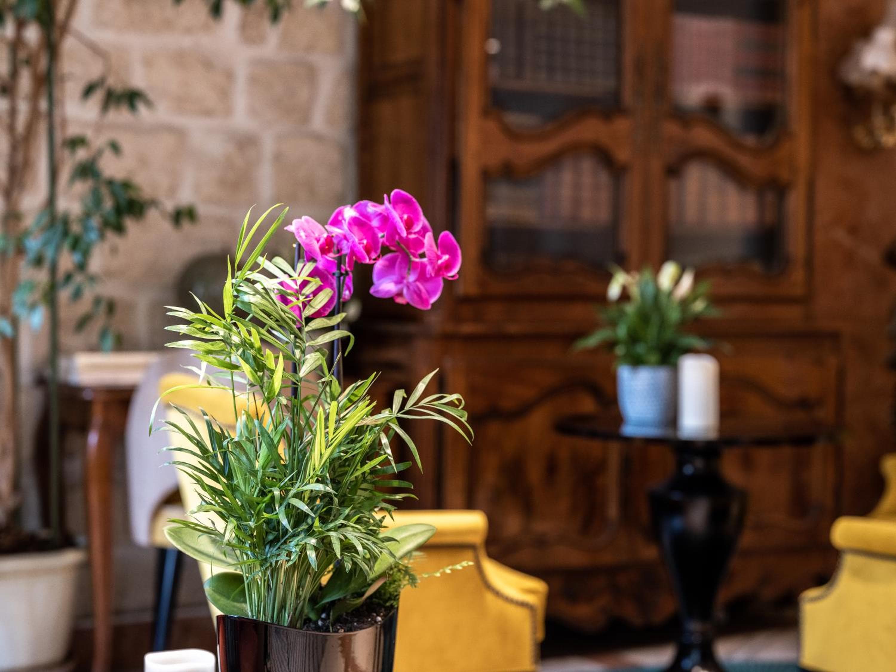 Albergo Minerve — 29