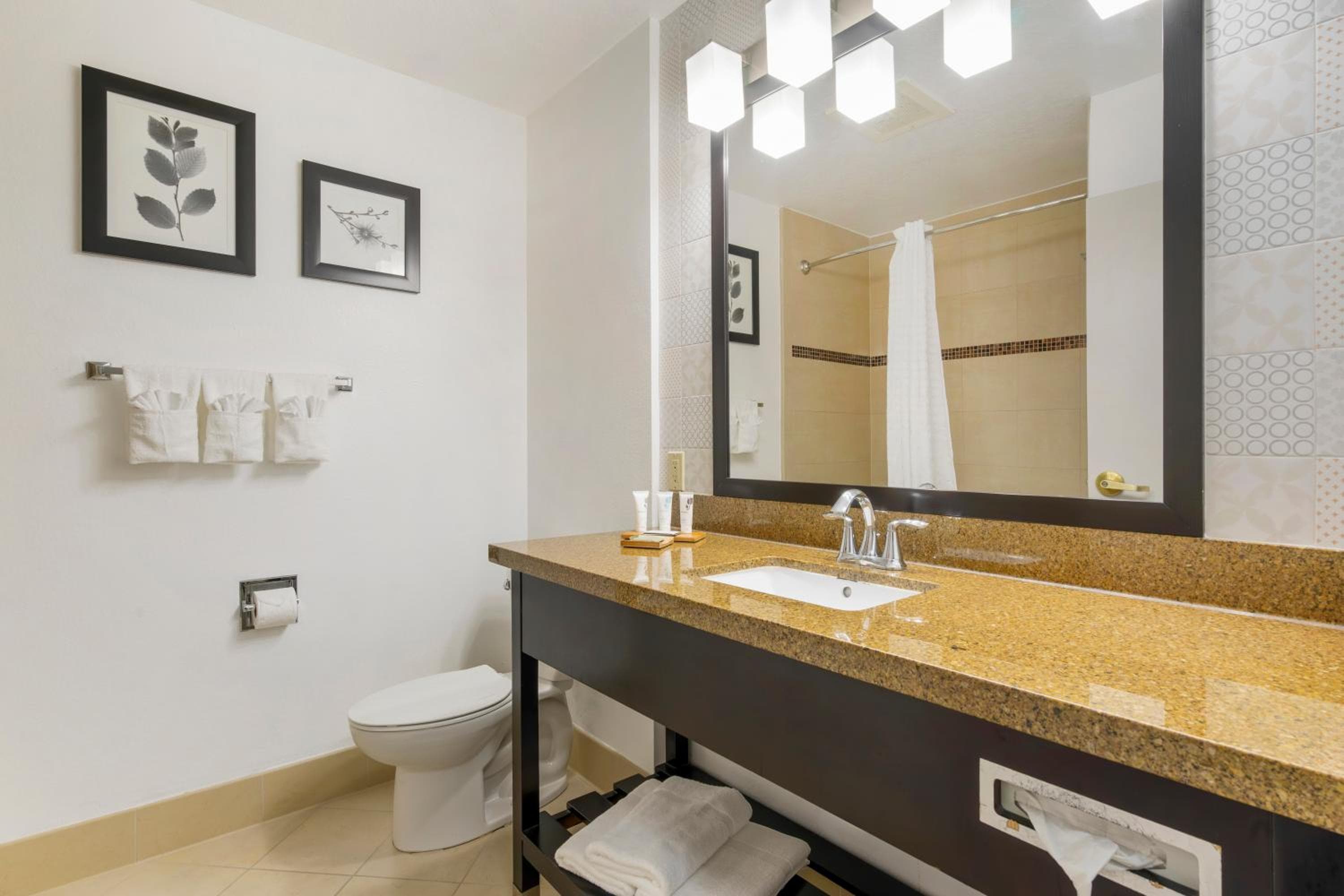 Country Inn & Suites by Radisson, Tampa Airport North, FL — 25