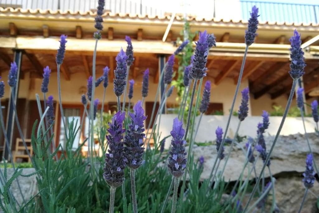 Landhotel s'Estepa — 30