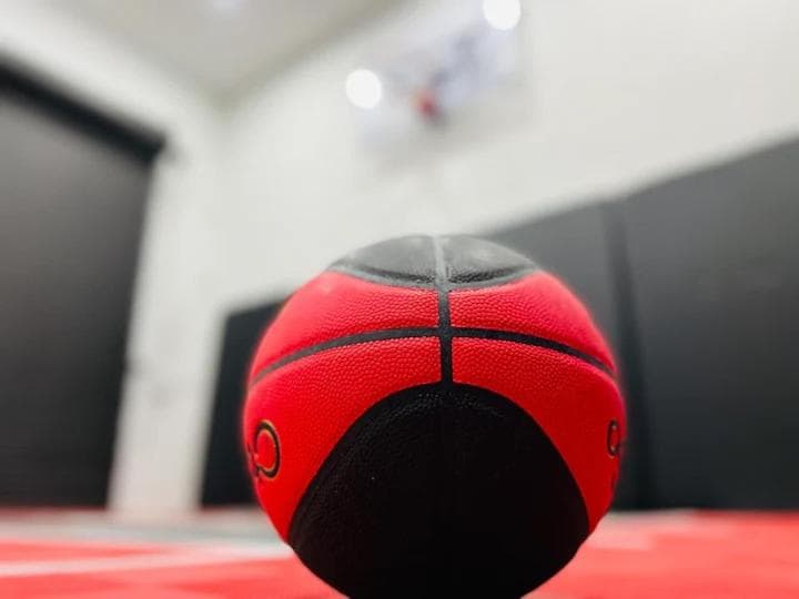Indoor Basketball, Game Room, Heated Pool, Private — 10