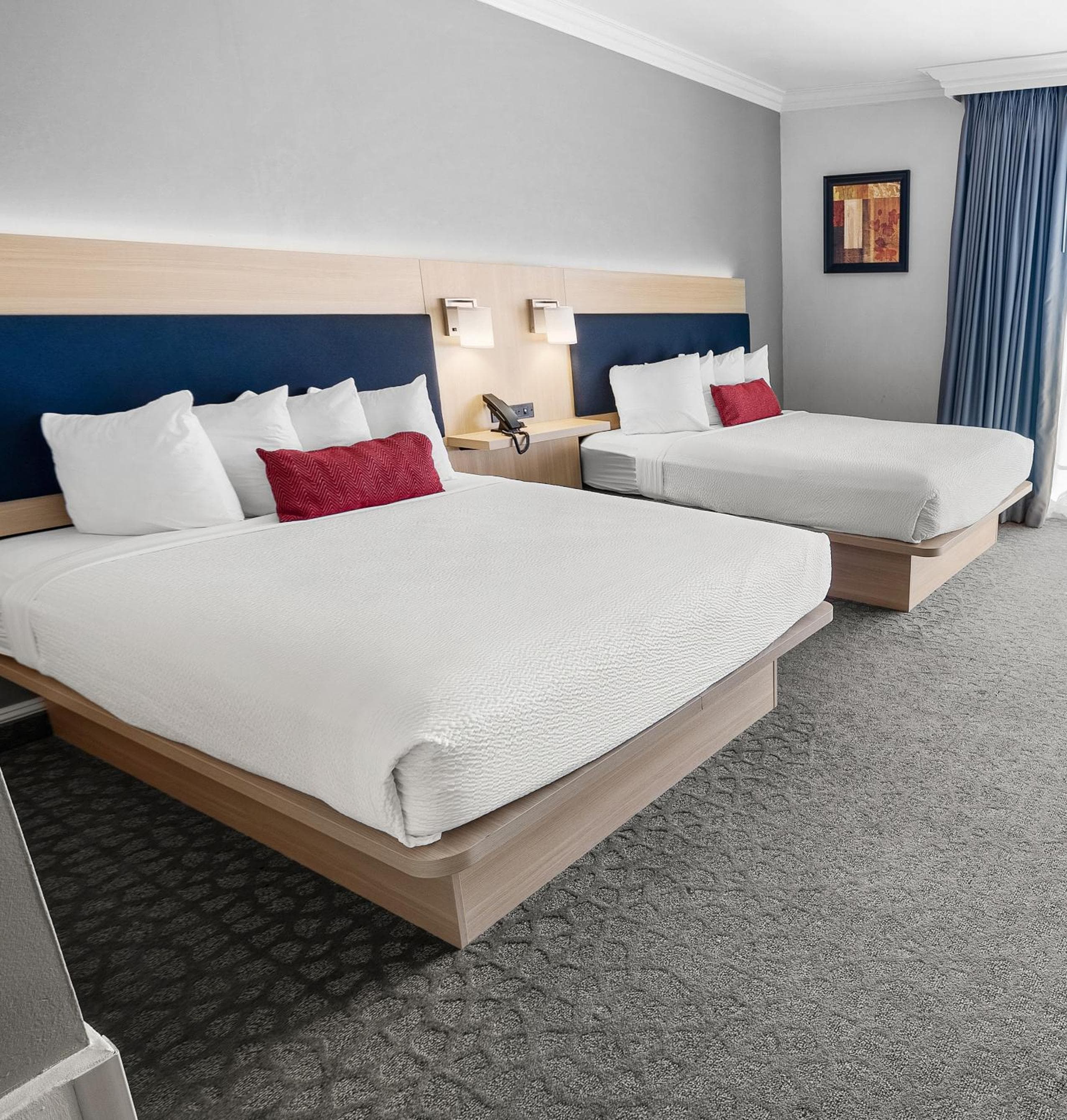 El hotel vivo — 6