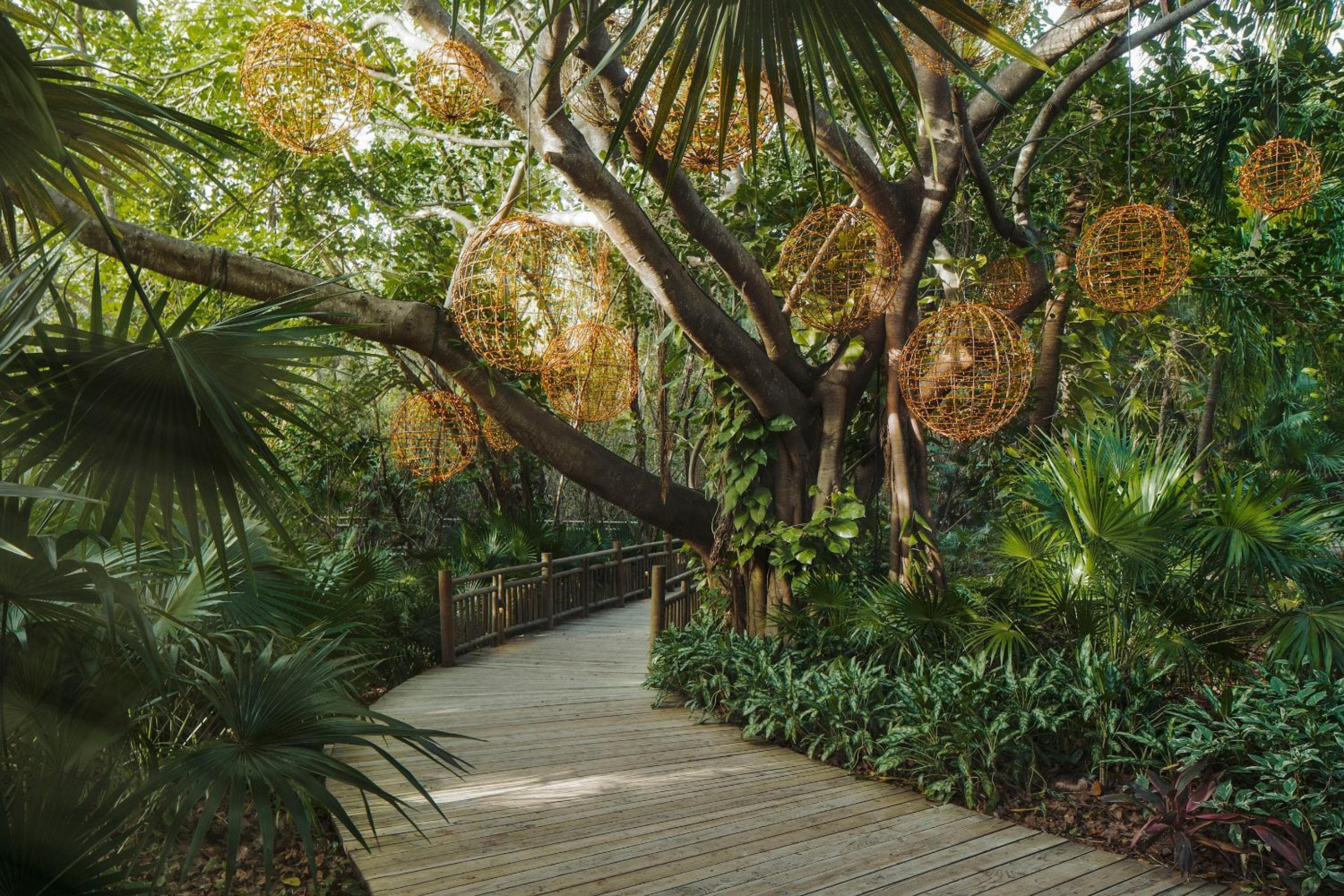 Jungala Park Hotel at VidantaWorld Riviera Maya — 15