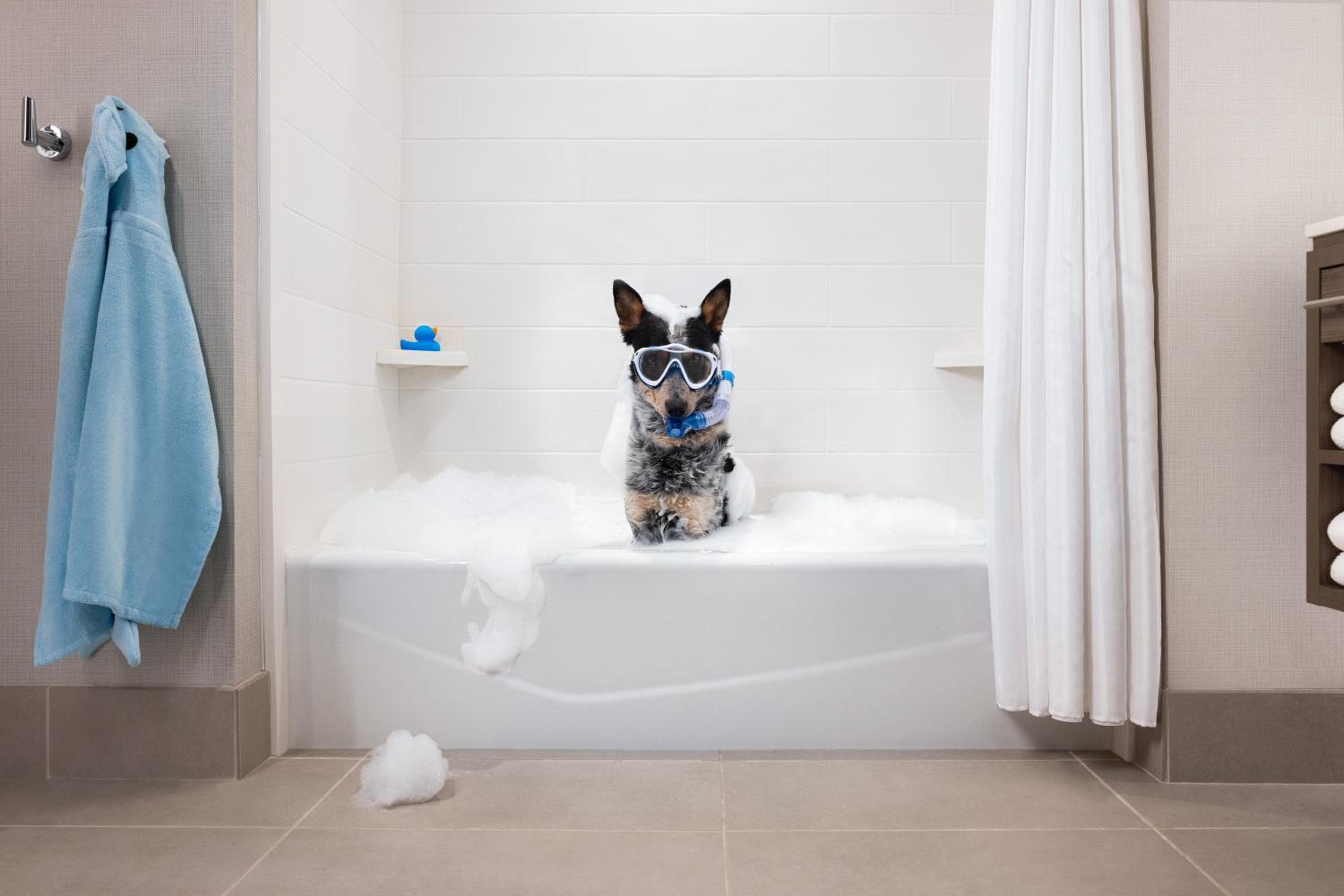 Home2 Suites By Hilton Winter Garden — 3