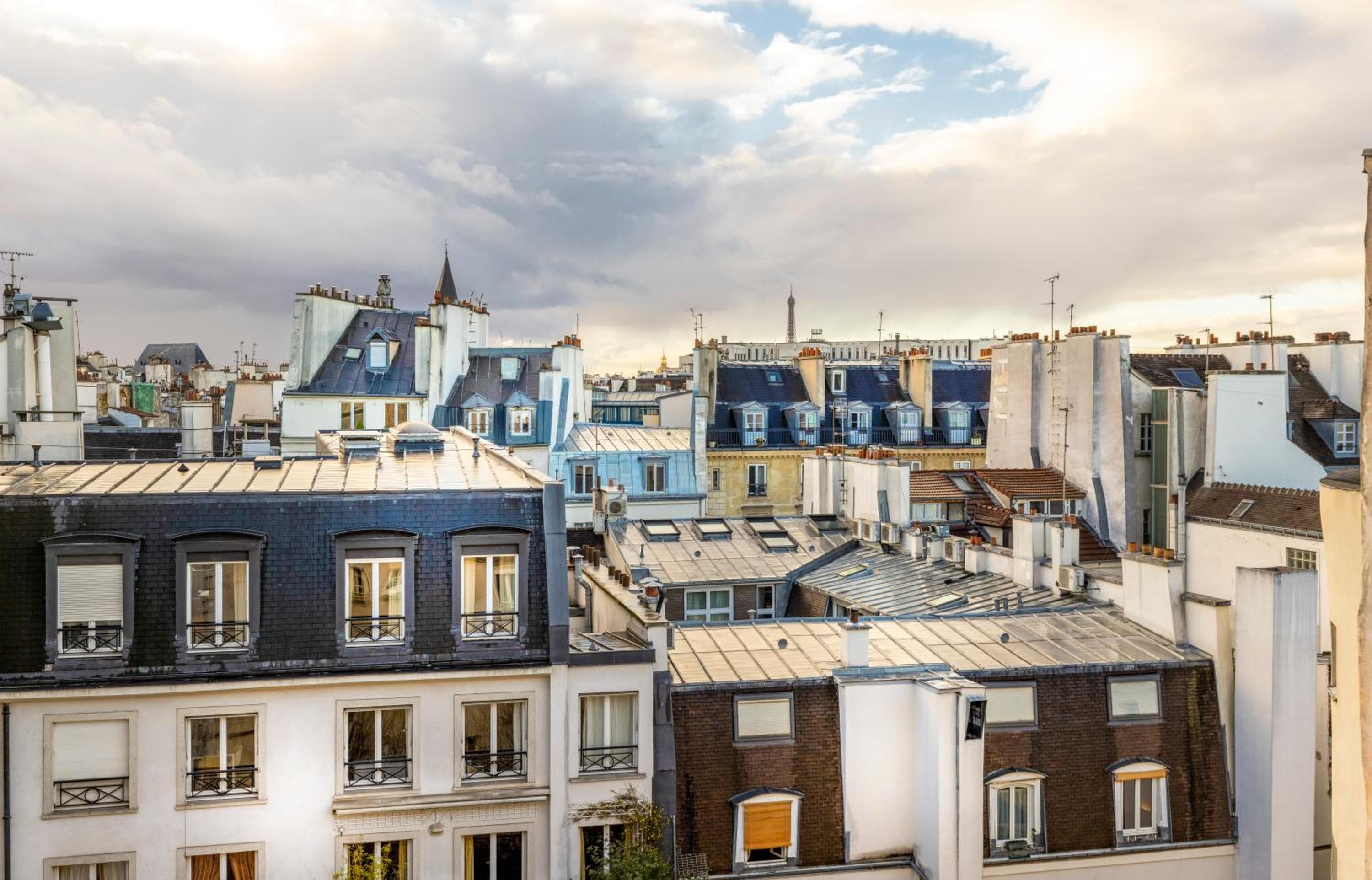 Dauphine Saint Germain — 12