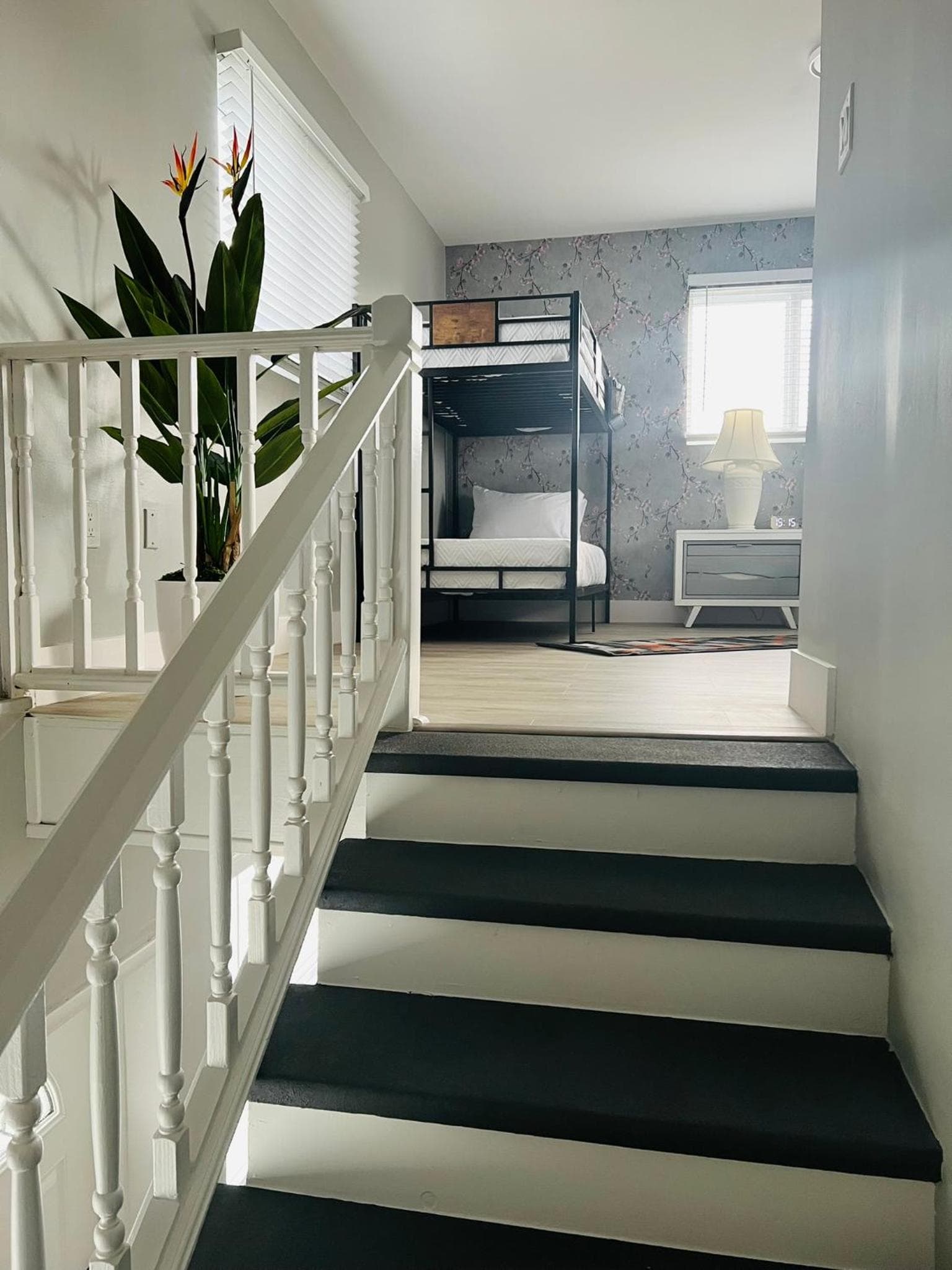 Casita Guayaba — 3
