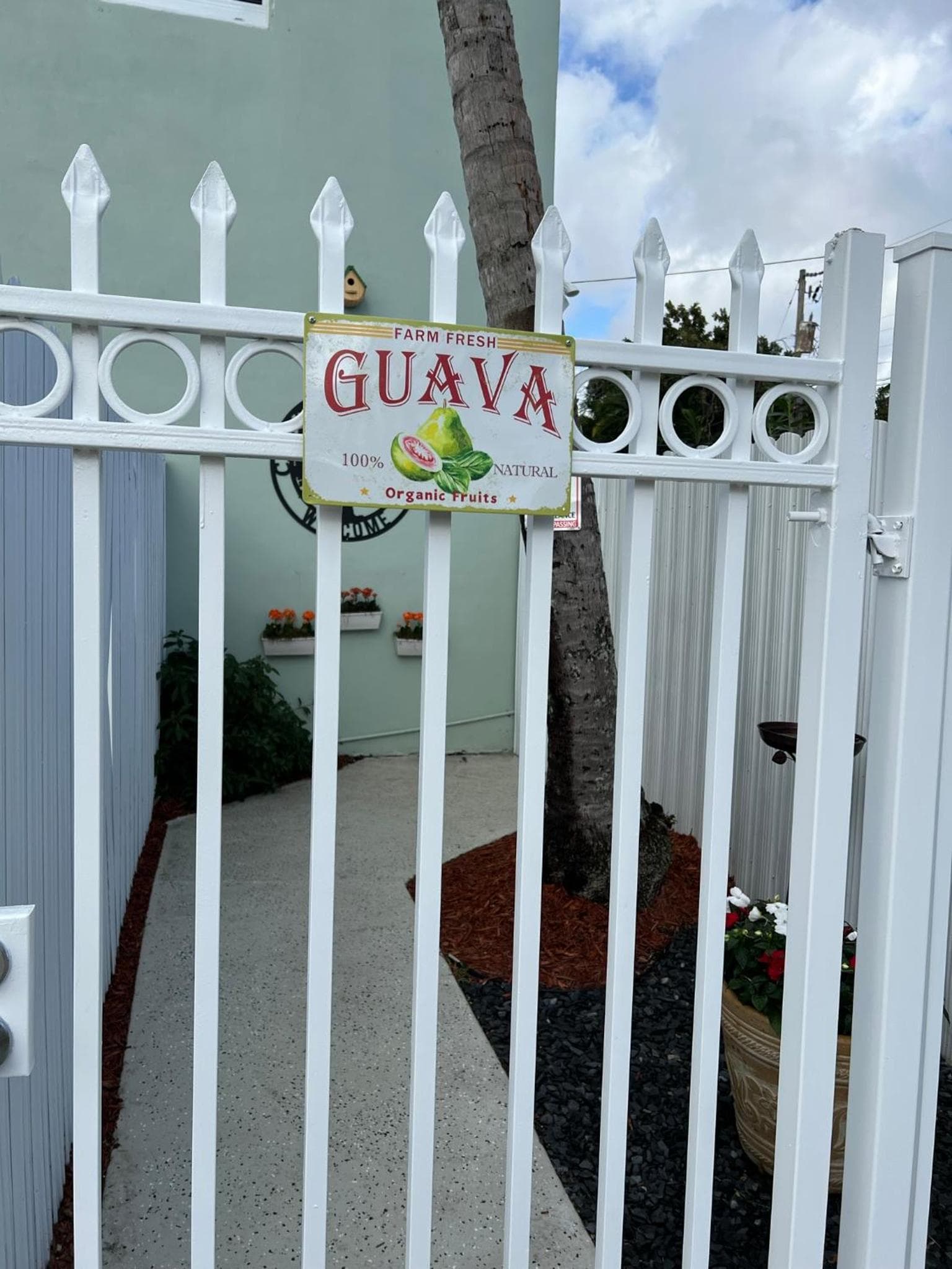Casita Guayaba — 18