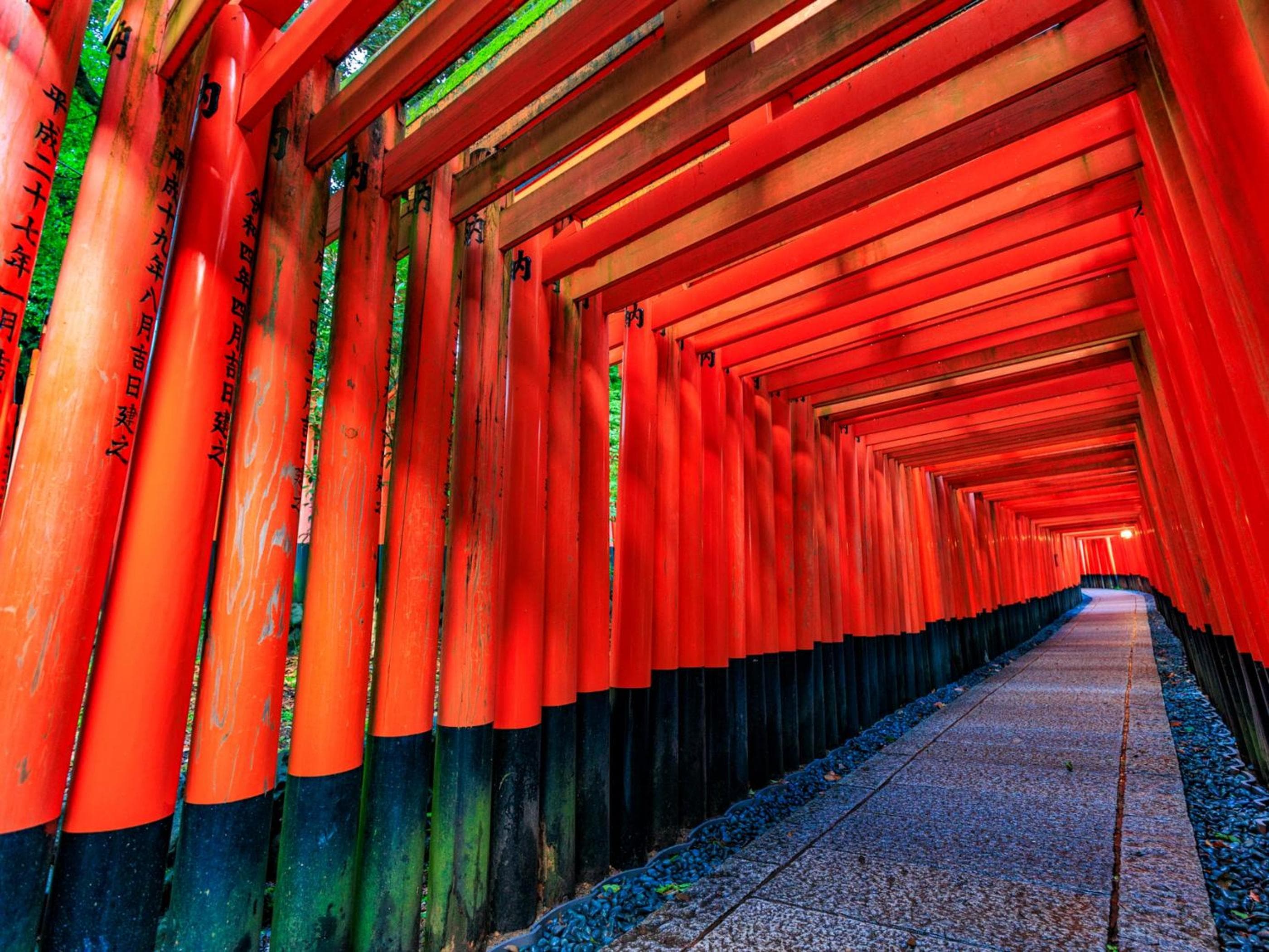 THE BLOSSOM KYOTO hotel, 140-2 Manjujicho, Shimogyo-ku, Kyoto, Japan — photo 82
