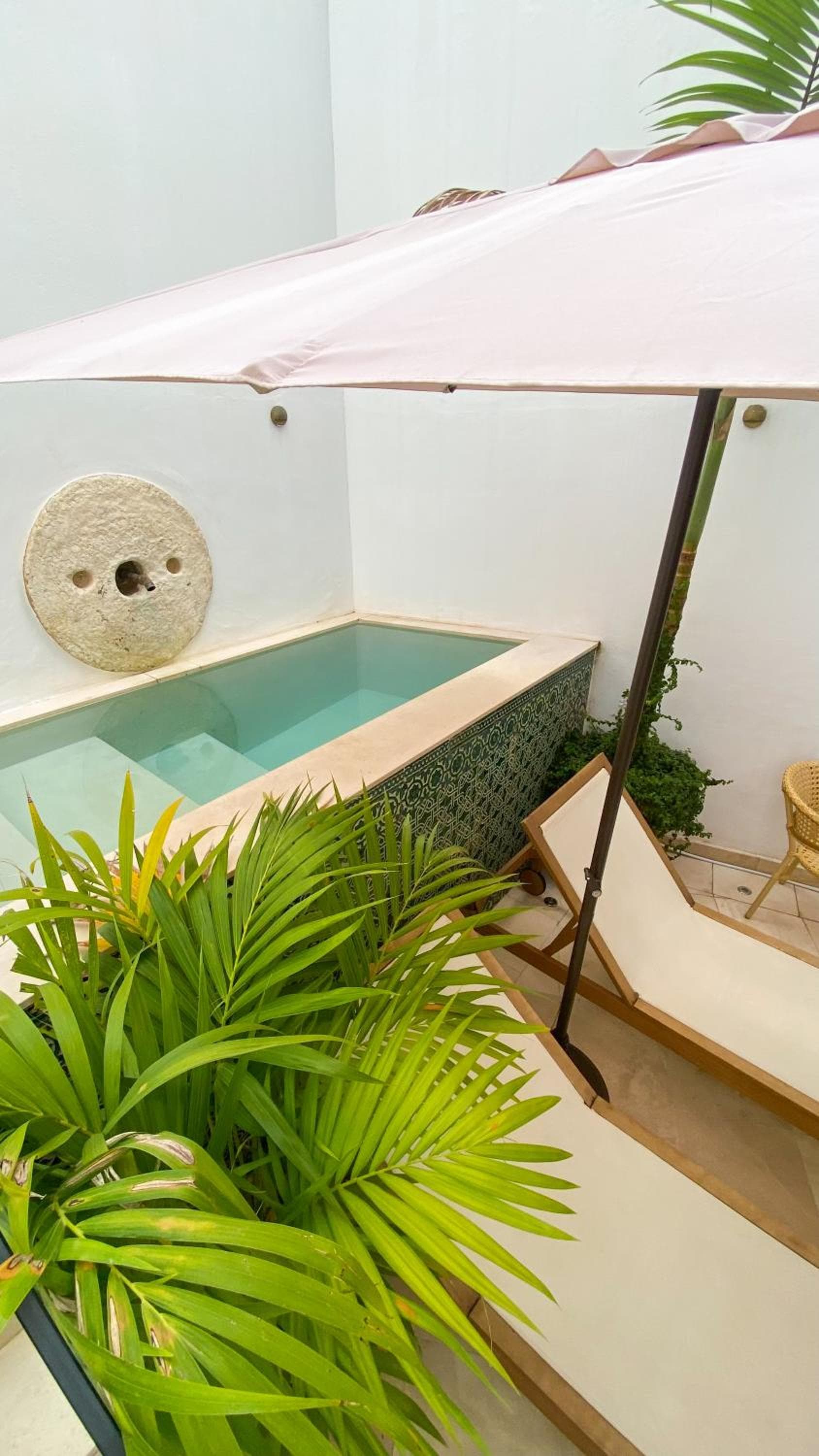 El Hotel Honesto San Pedro — 8