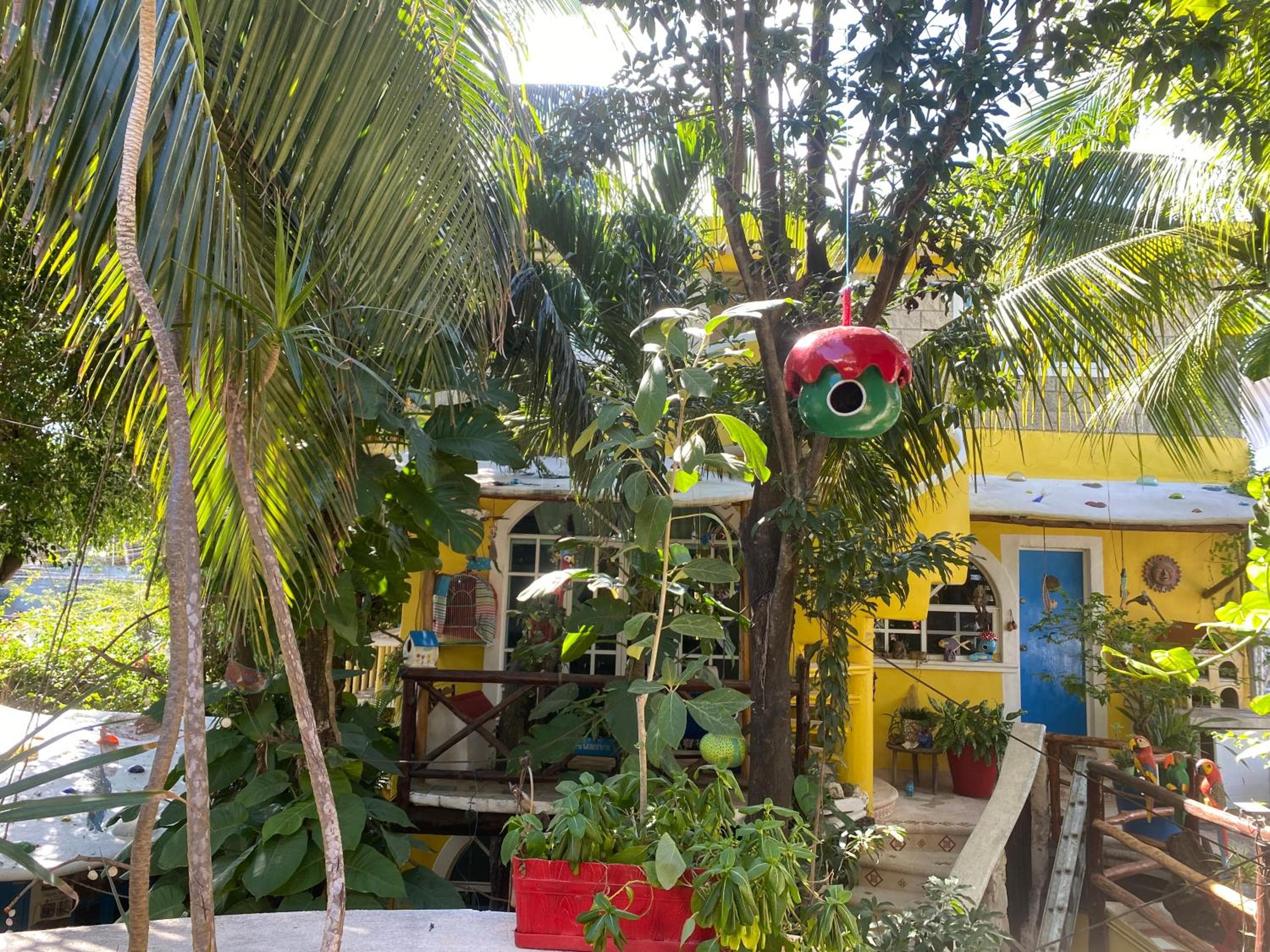 Maison Tulum — 3