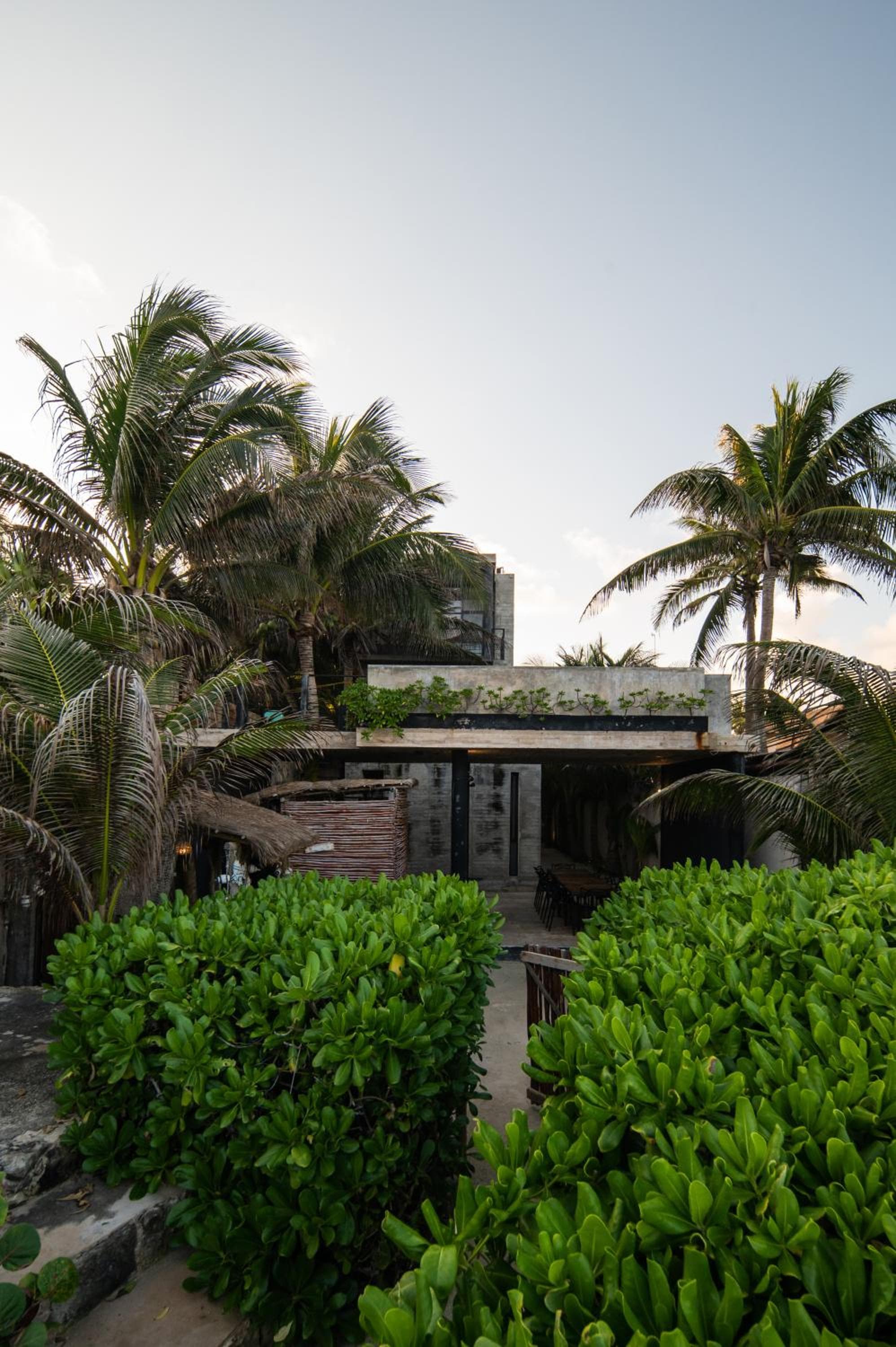 TROPICALITO TULUM — 10