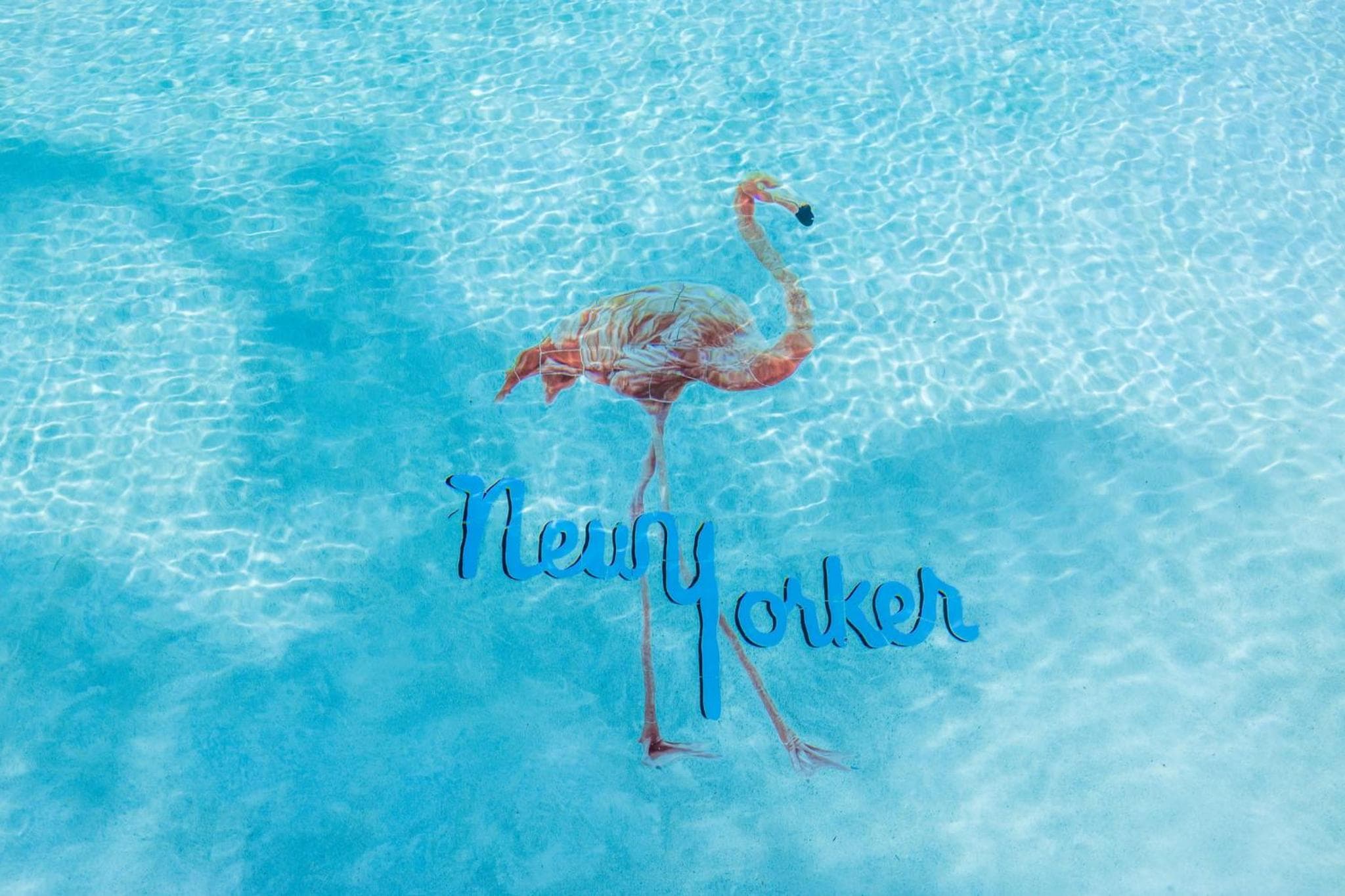 The New Yorker Miami Hotel — 5