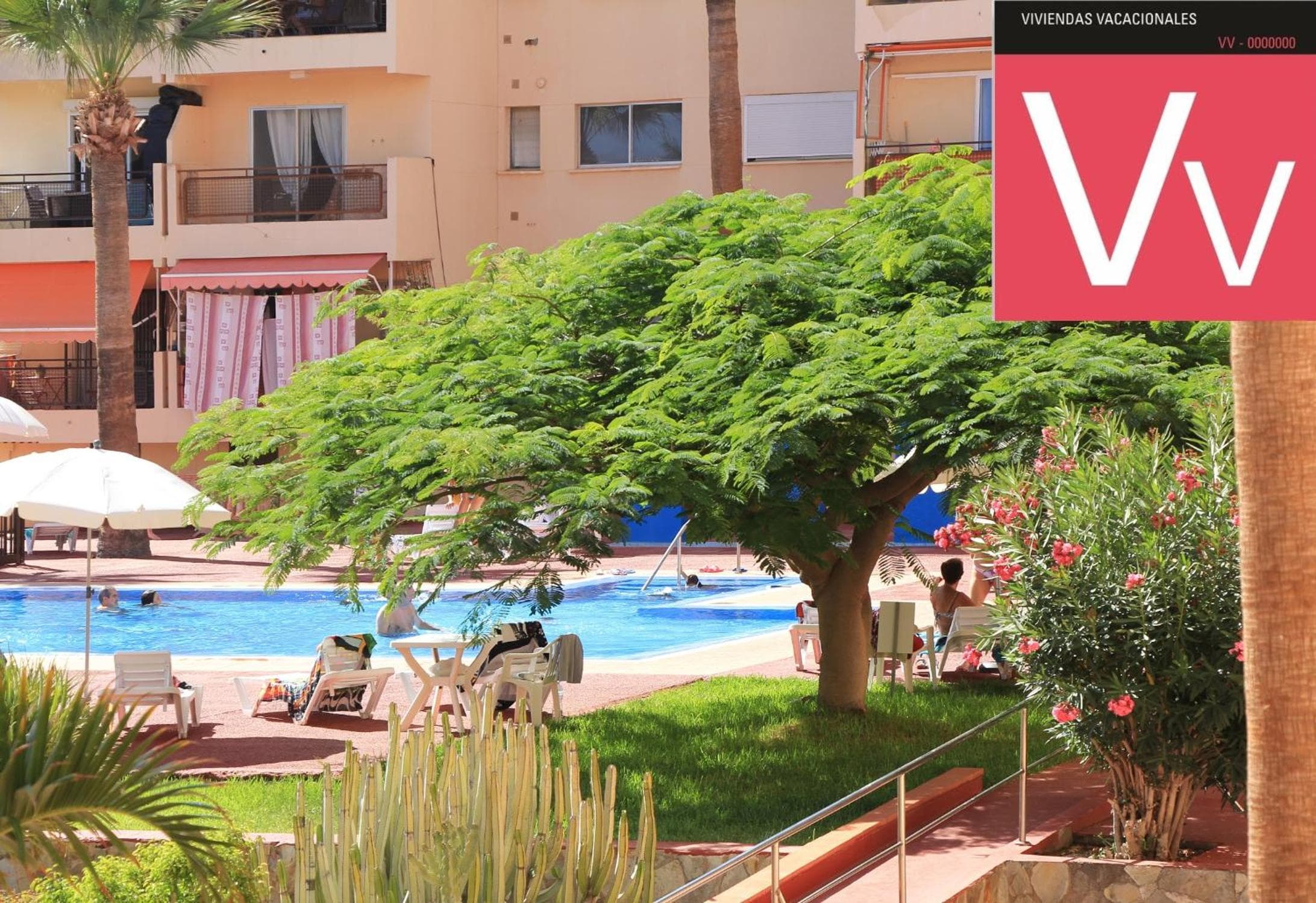 Los Cristianos - 2 bedrooms - Flayla-C — 1