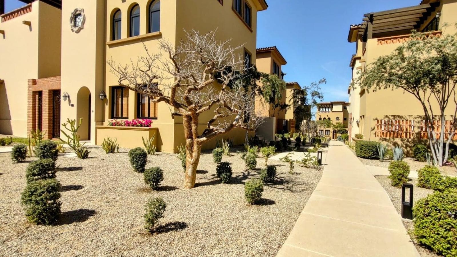 Amazing 2BR Pool/Jacuzzi/Beach/ Resort/10Min Cabo — 1