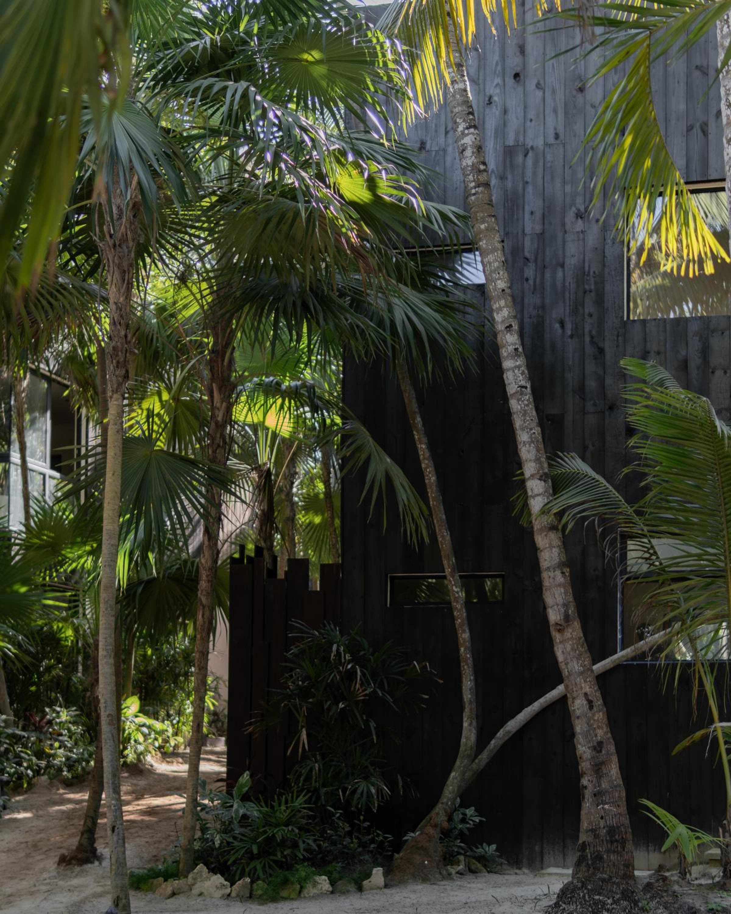 UMi Tulum — 1