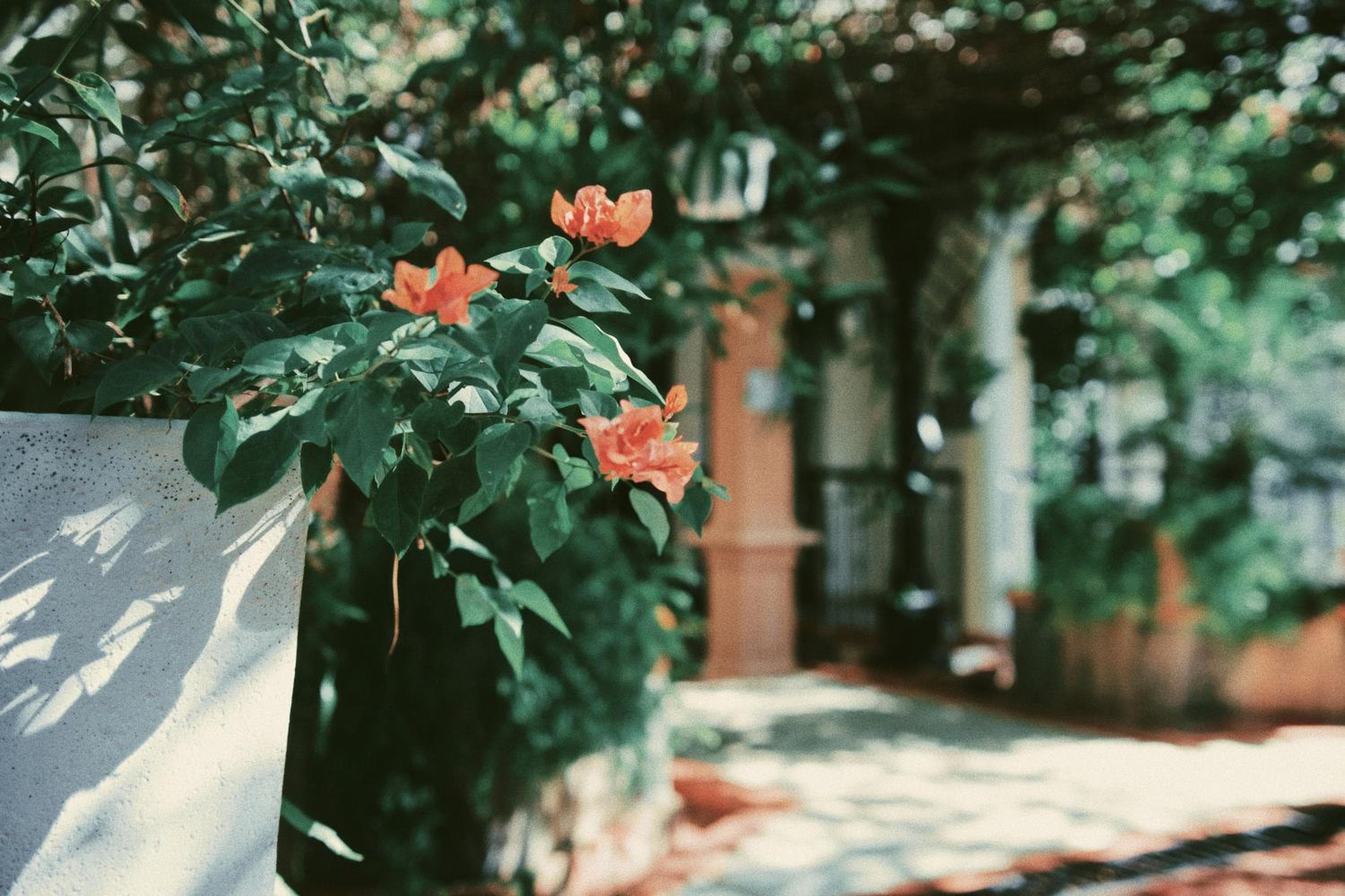 Hotel Plaza Brisas — 5