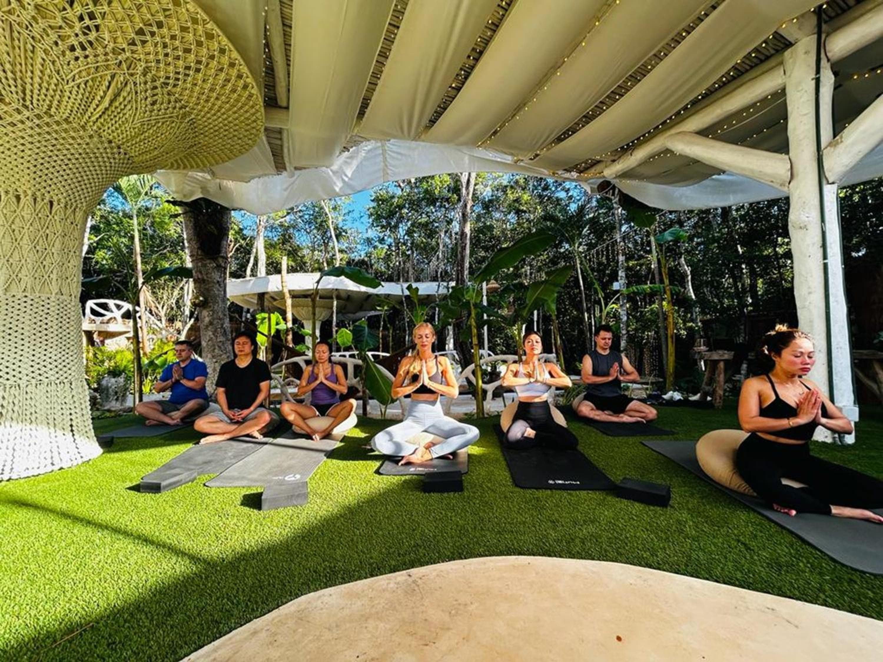 Das Gelbe Nest Tulum — 6