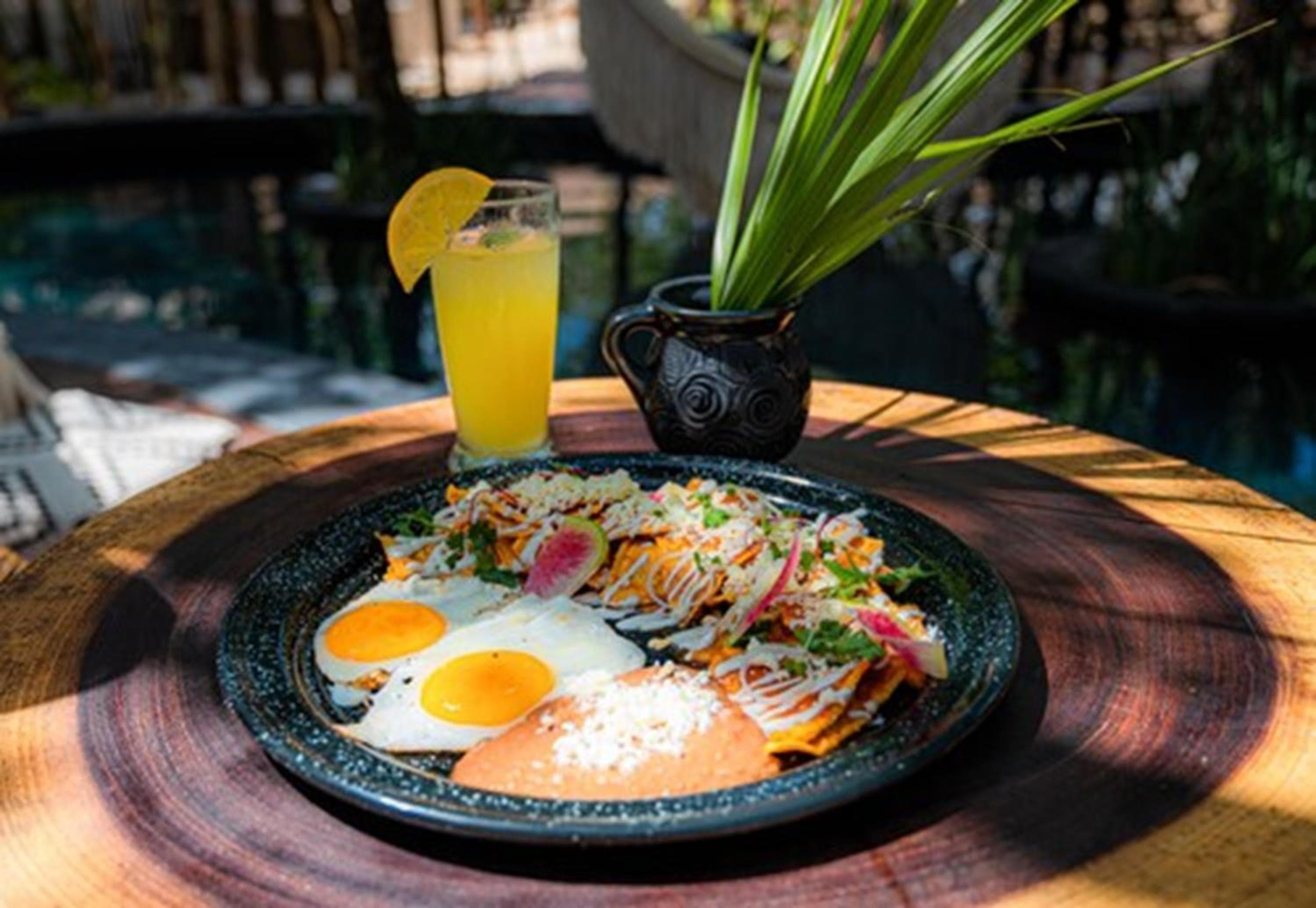 Das Gelbe Nest Tulum — 8