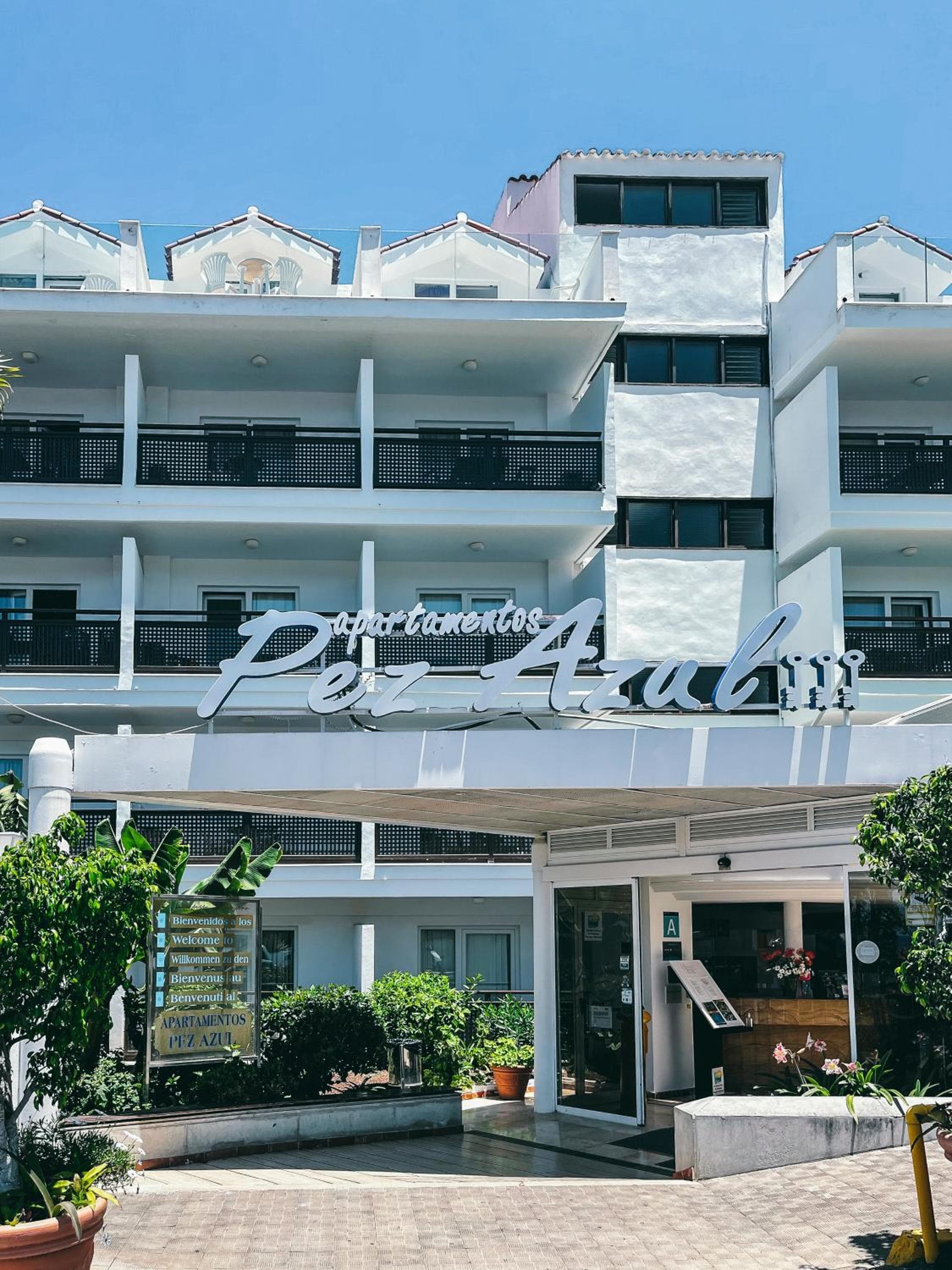 Apartamentos Pez Azul — 3