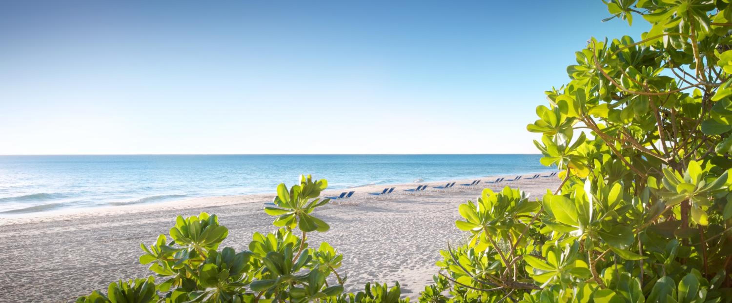 Pelican Grand Beach Resort, un complejo de casa noble — 6