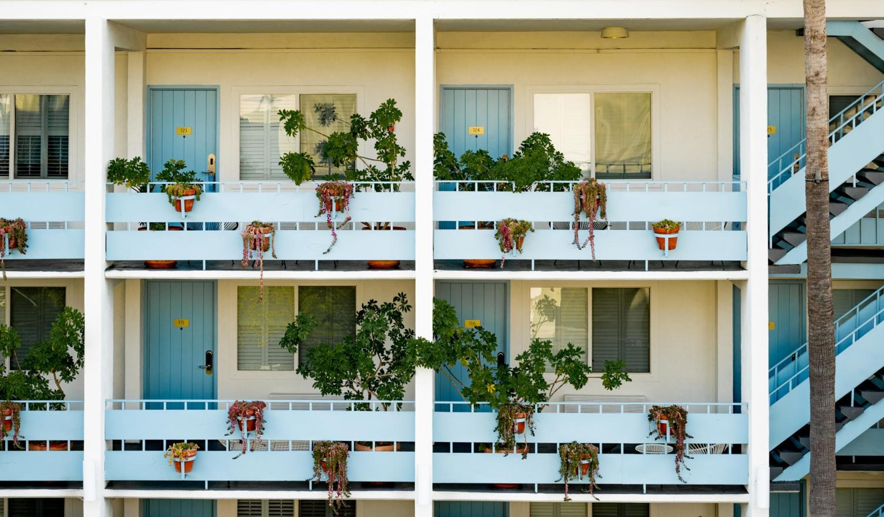 Short Stories Hotel Near The Grove — 13