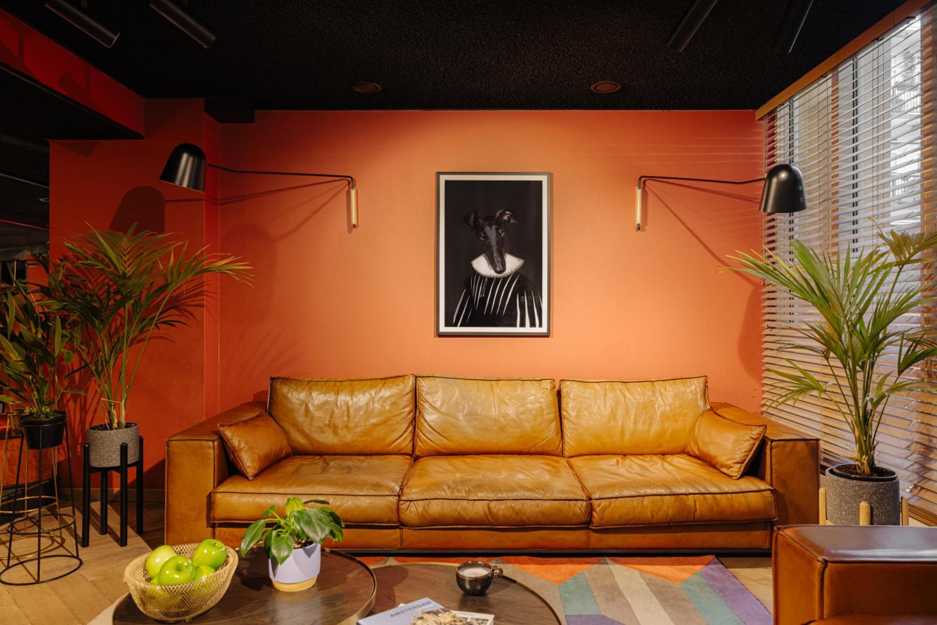 Das ED Amsterdam — 11